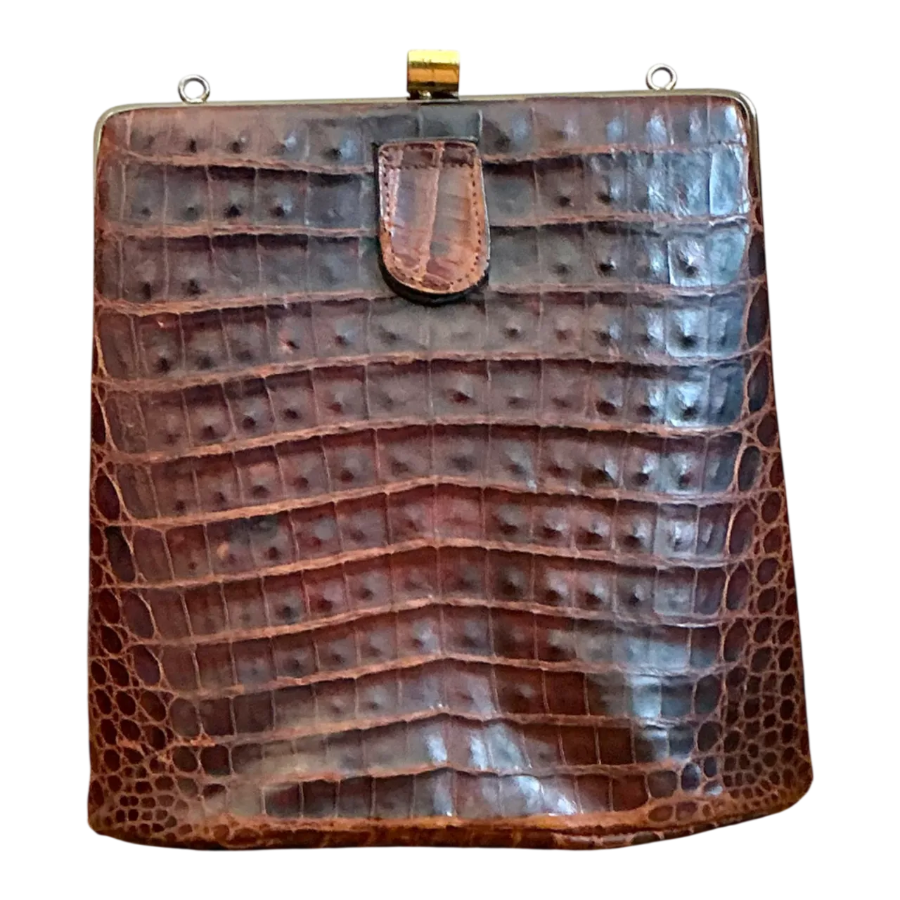 Vintage Crocodile Metal Frame Handbag