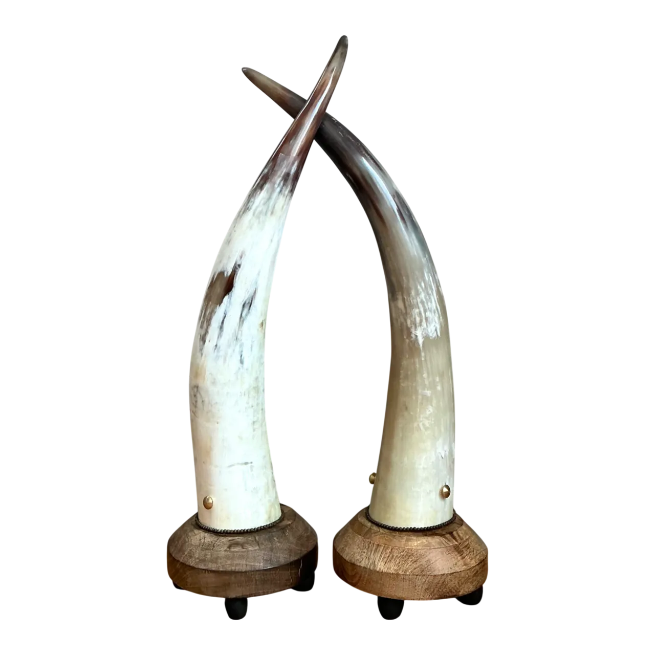 Vintage Horn and Wood Accent Lamps - Pair