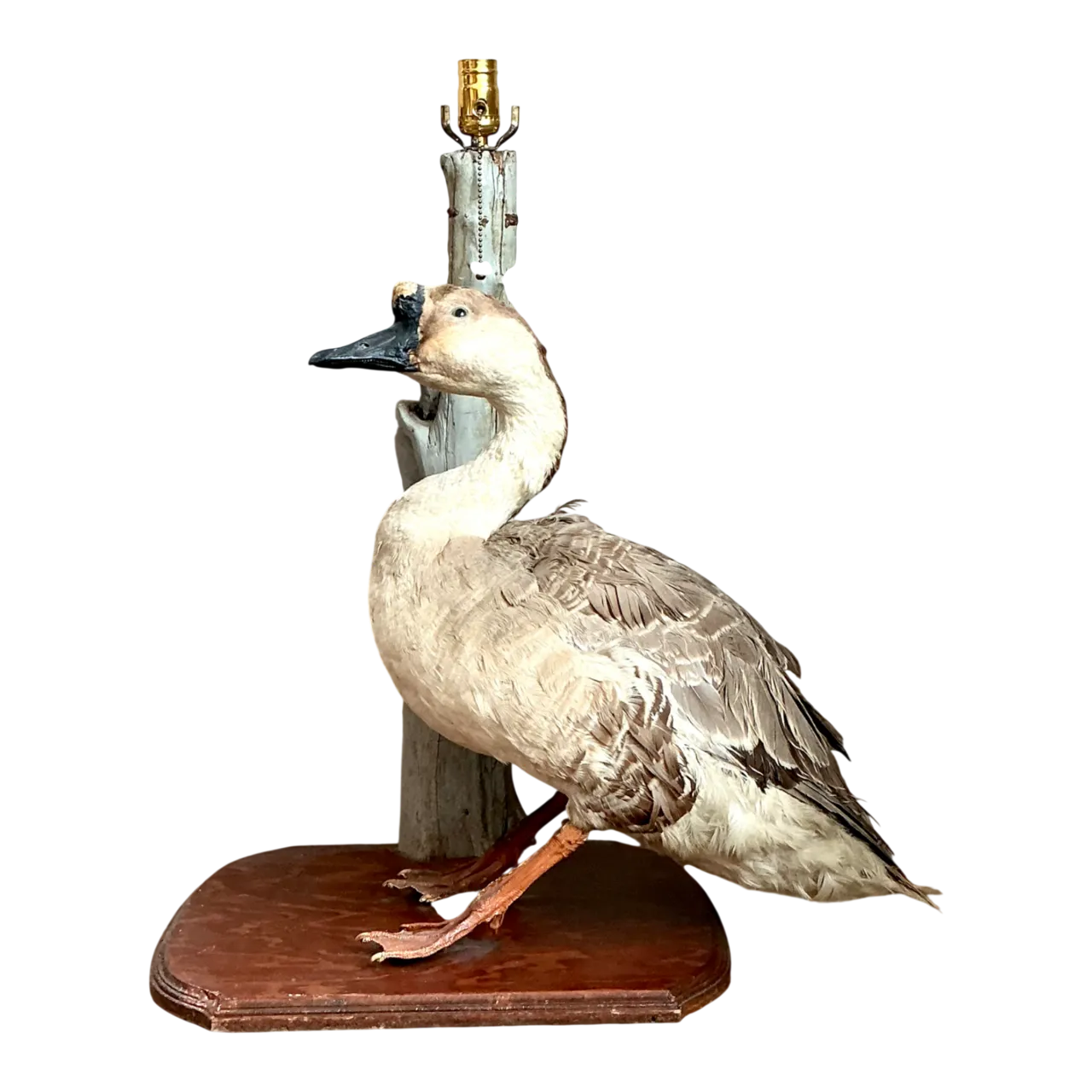 Vintage Taxidermy Goose Table Lamp