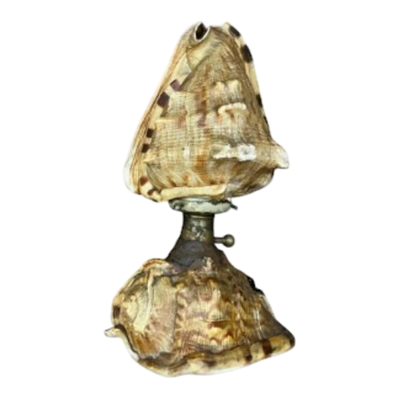 Vintage Coastal Conch Shell Lamp