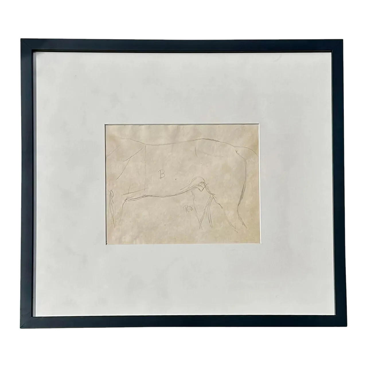 Vintage Framed Horse Body Sketch Drawing - Paper, 17.25W x 16H