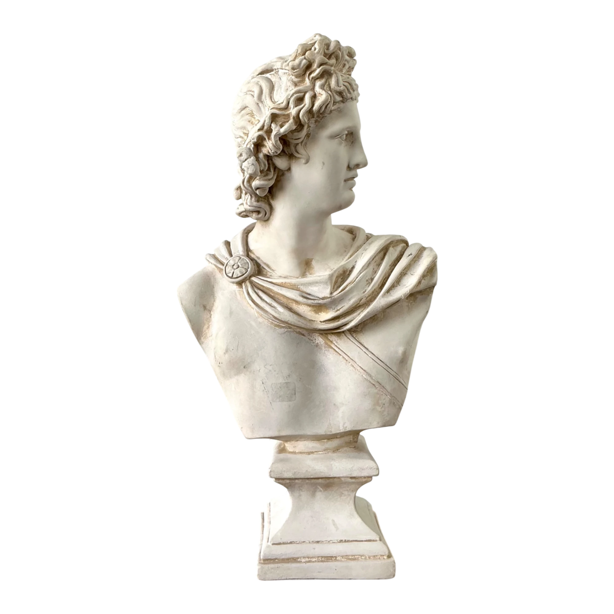 Ceramic Apollo Belvedere Bust Sculpture - Detail view