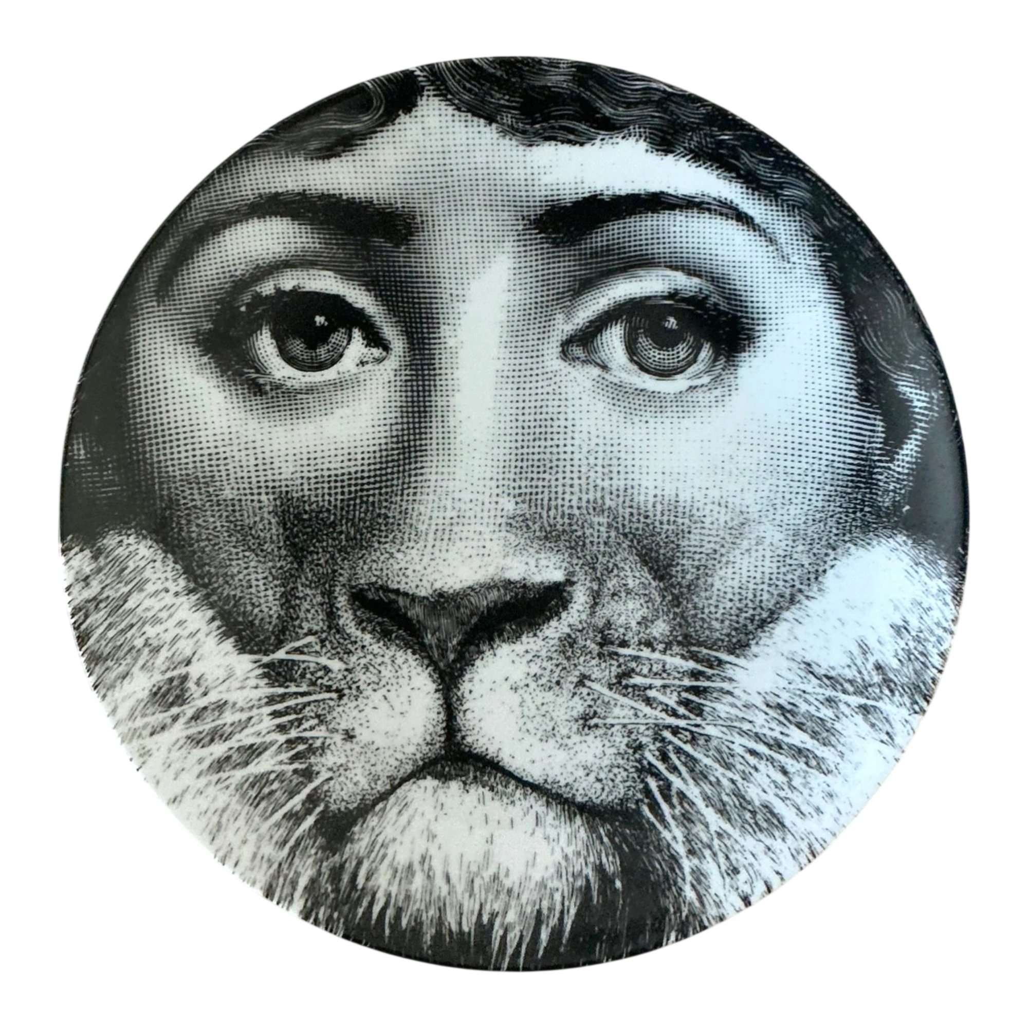 Vintage Fornasetti Tema e Variazioni Plate — additional photo 1