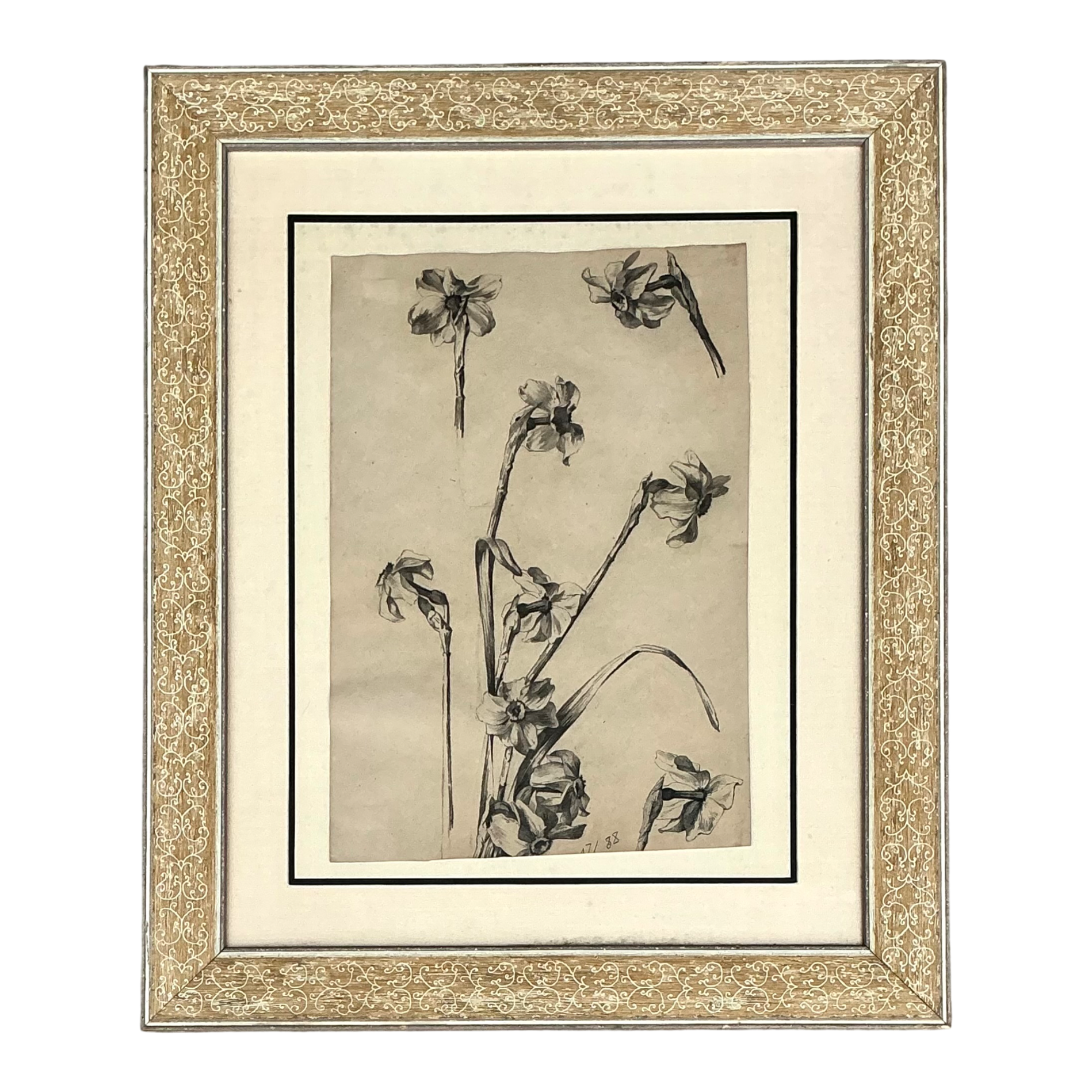 Framed Botanical Drawing with Gold Detailing — additional photo 1