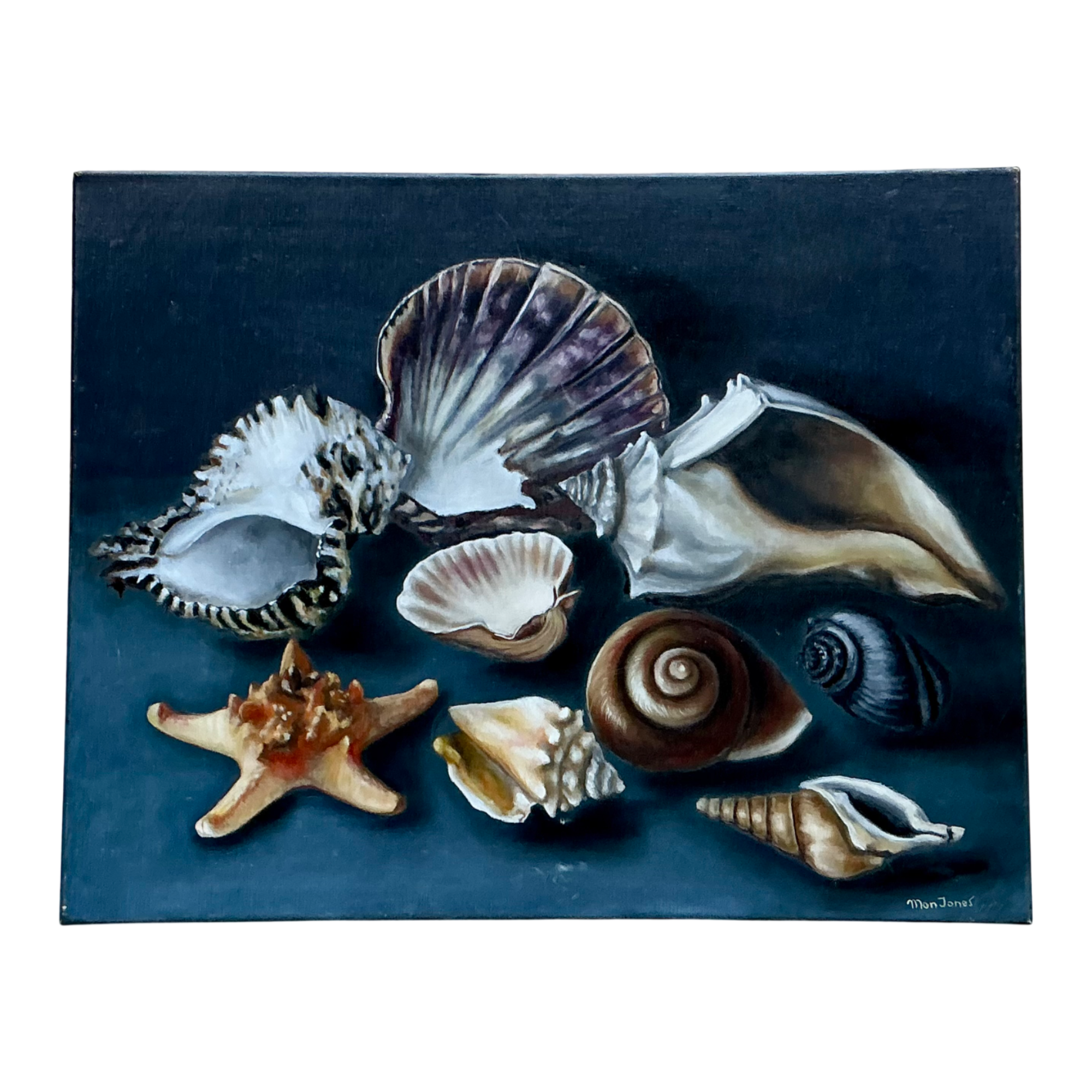 Vintage Mon Jones Shell Still Life Oil Painting