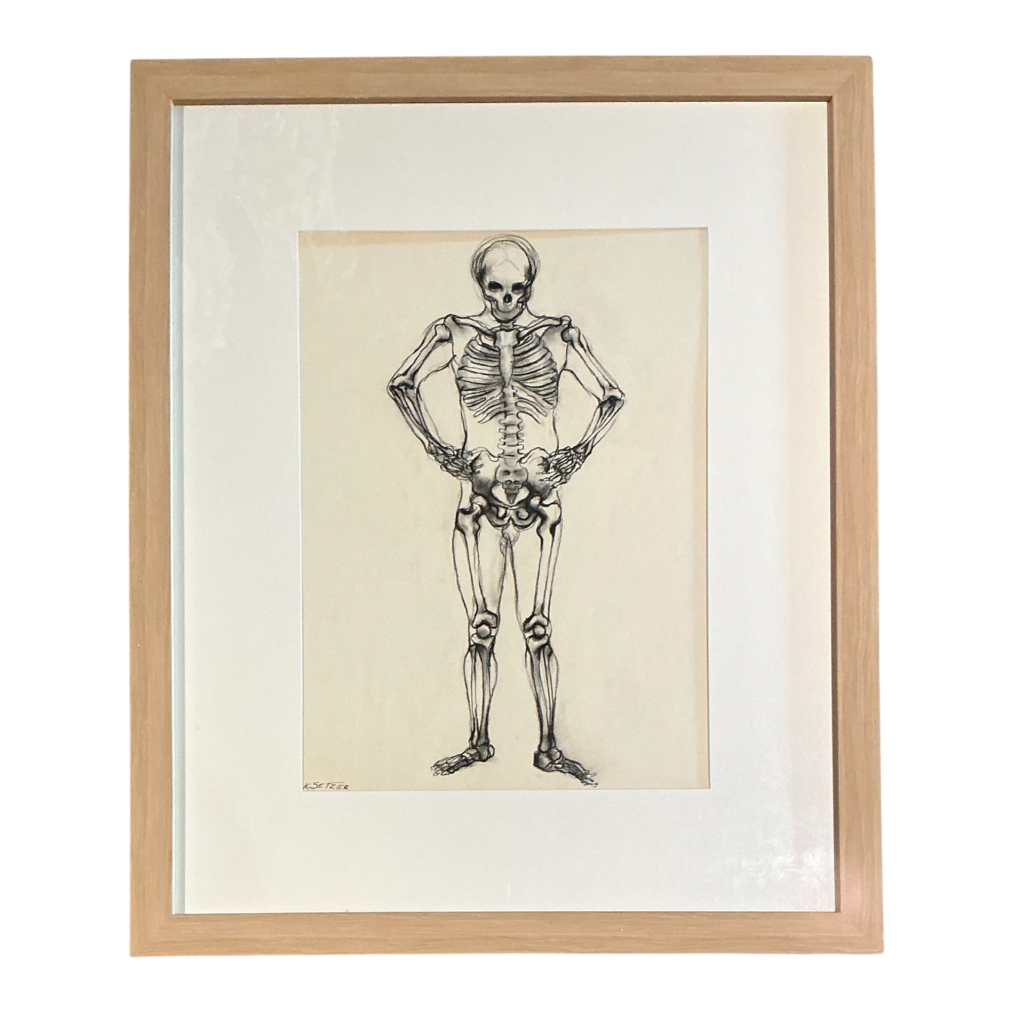 Vintage Framed Skeleton Study on Paper