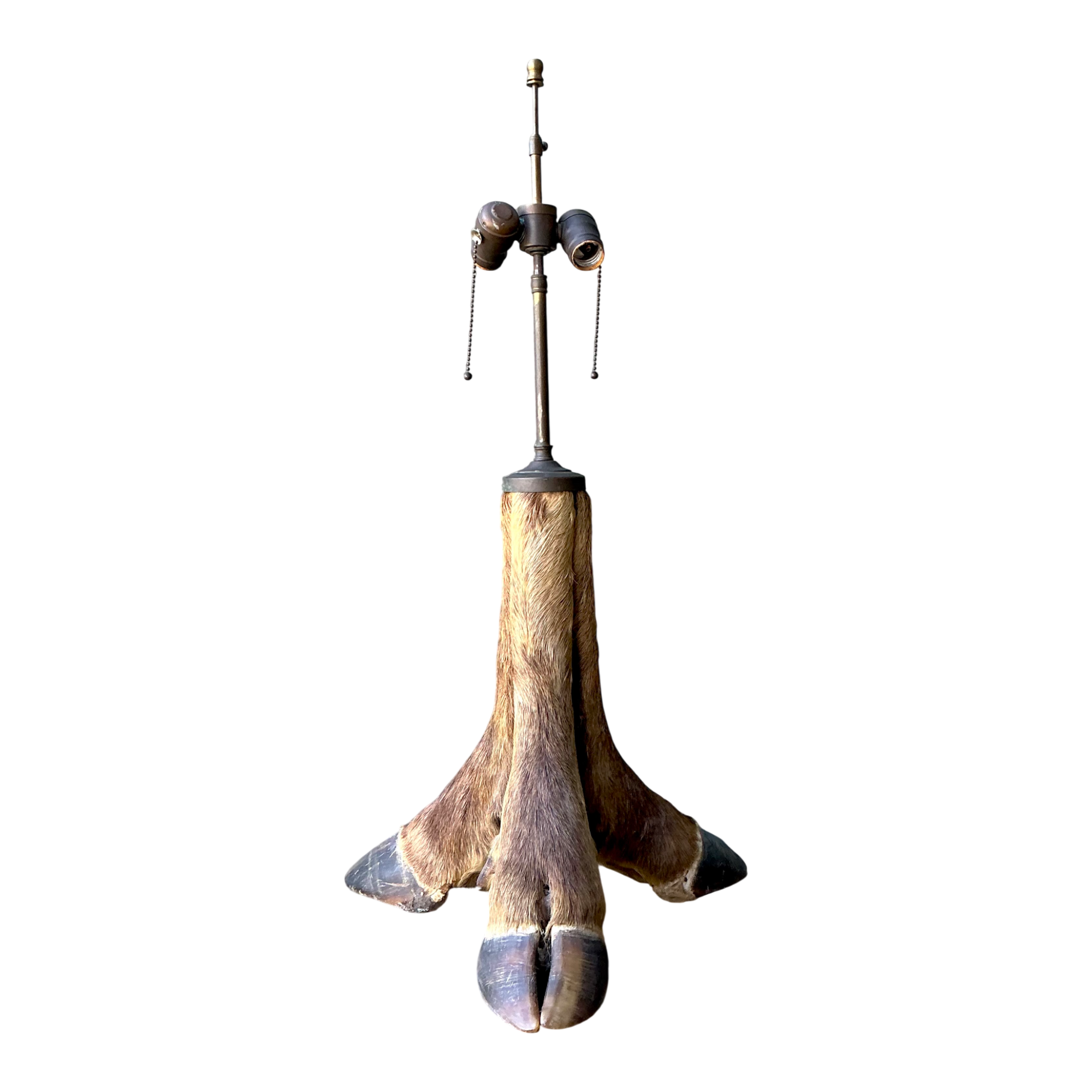 Vintage Taxidermy Hoof Table Lamp