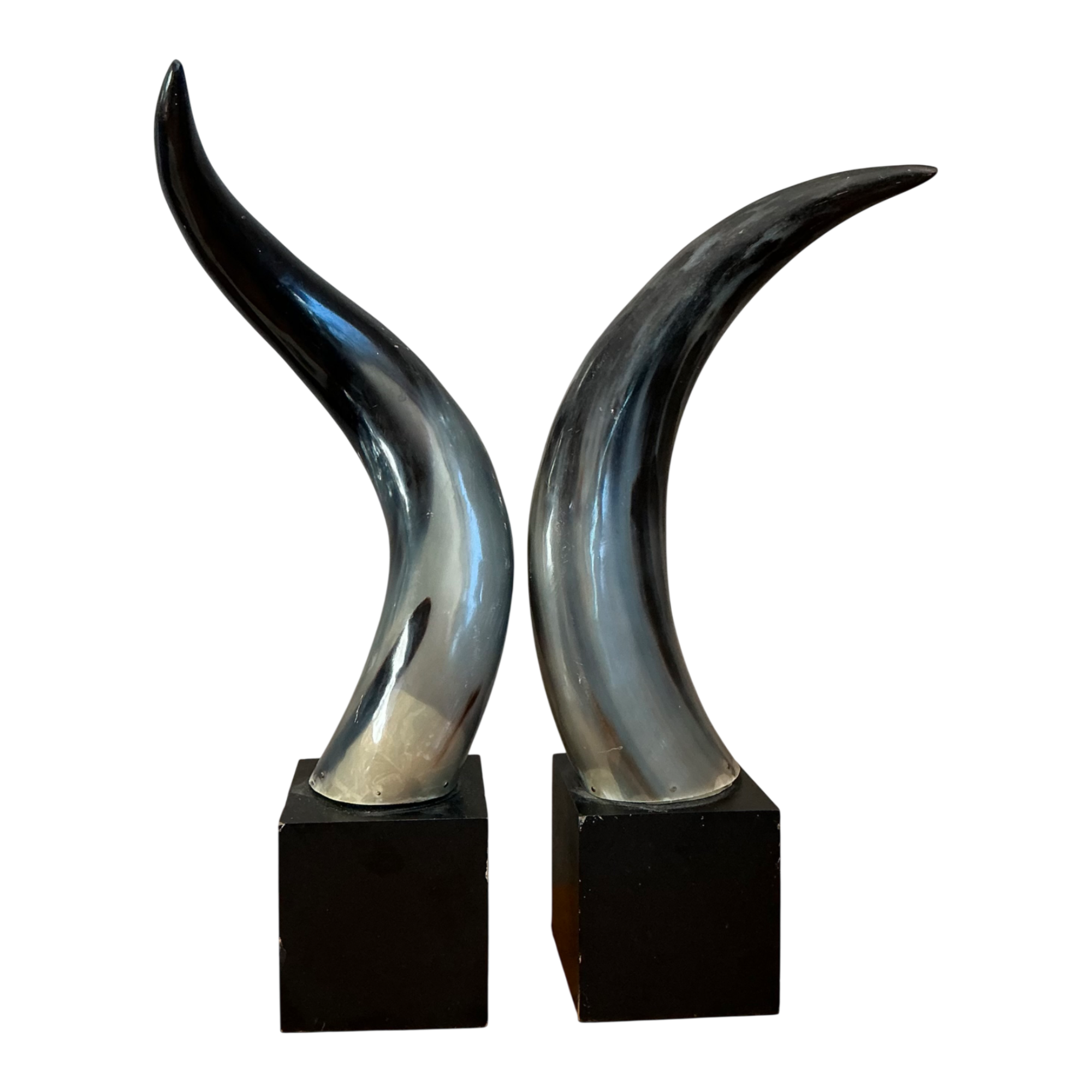 Vintage Decorative Horns On Wood Plinths — additional photo 1