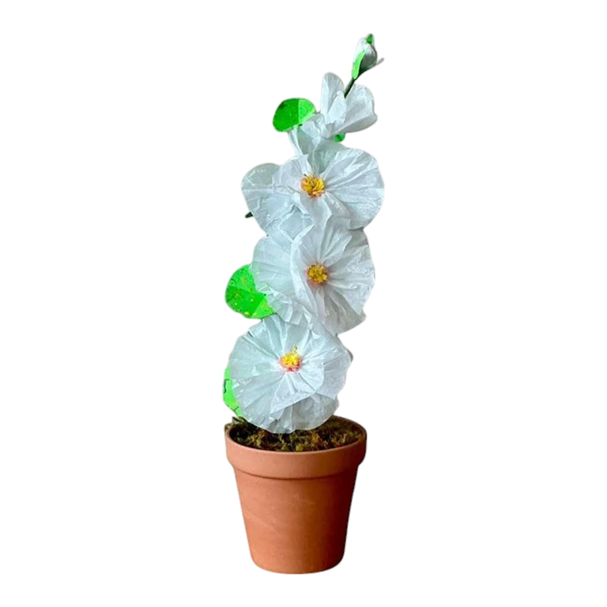Contemporary Hand Rolled Paper Flowers