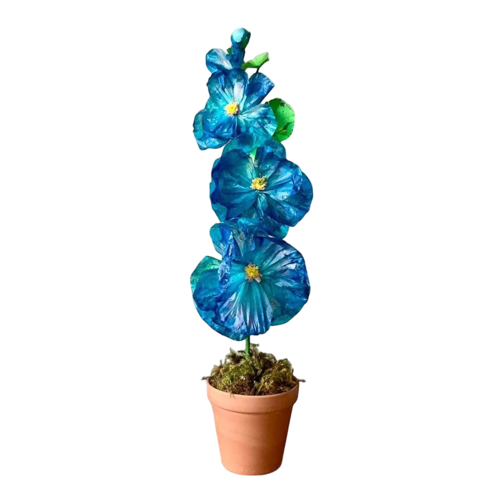 Contemporary Hand-Rolled Paper Flowers