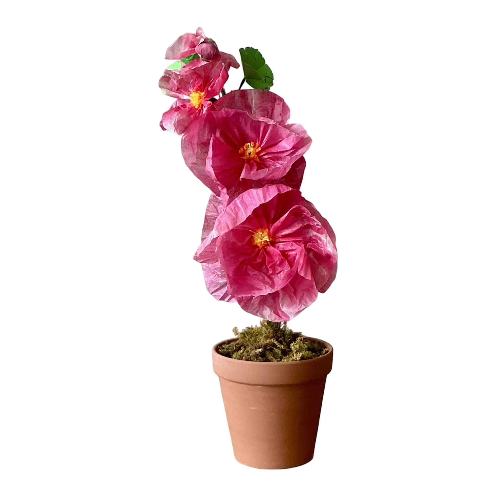 Contemporary Hand Rolled Paper Flowers - Terracotta, 6.5W x 20.5H