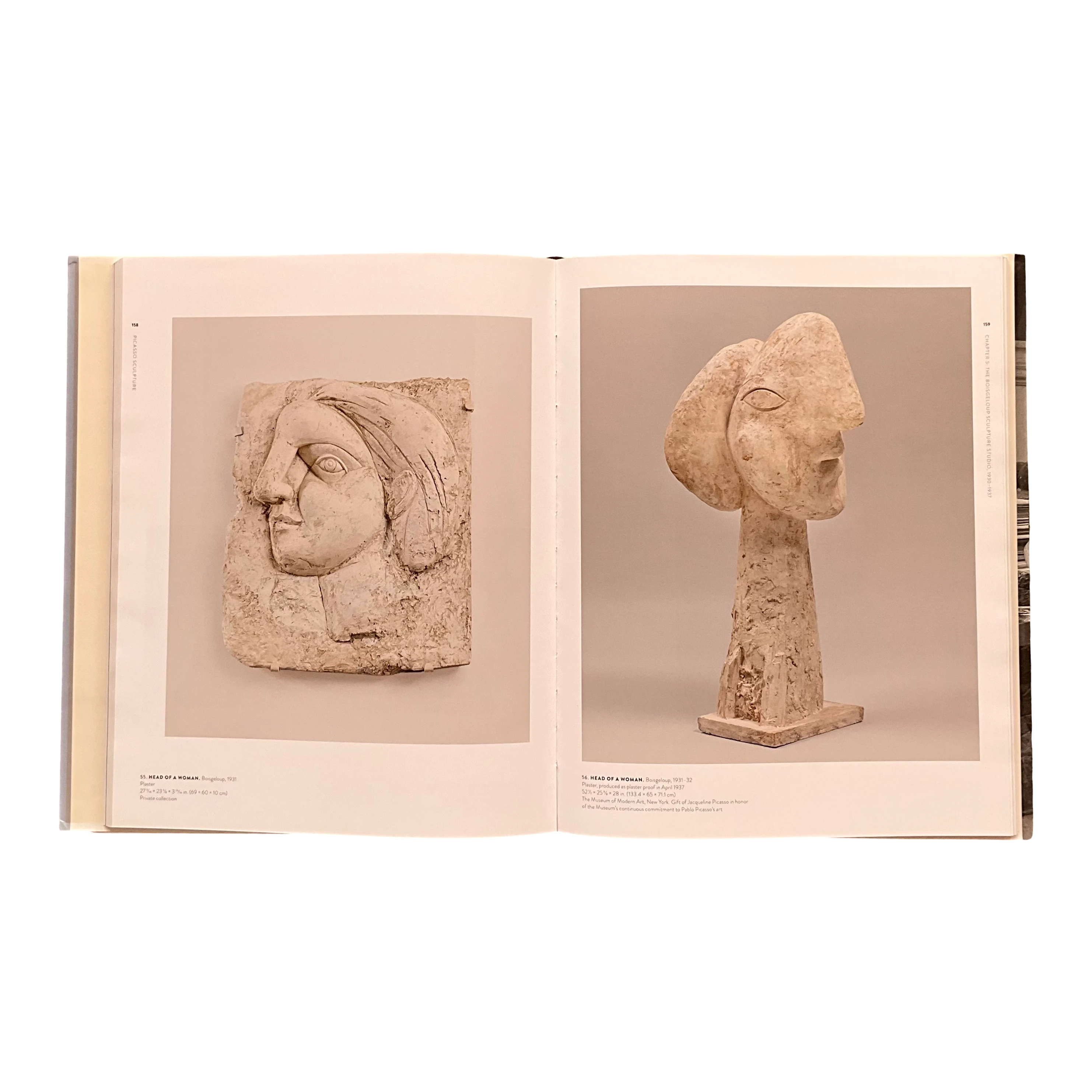 Picasso Sculpture Book 