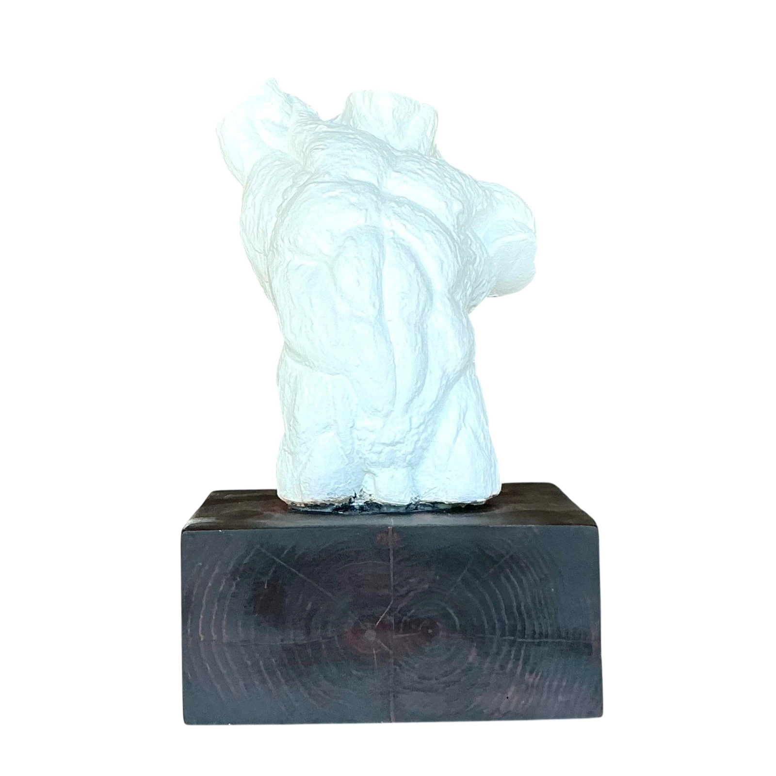 Mid 20th Century Vintage Boho Plaster Torso of Man — additional photo 1