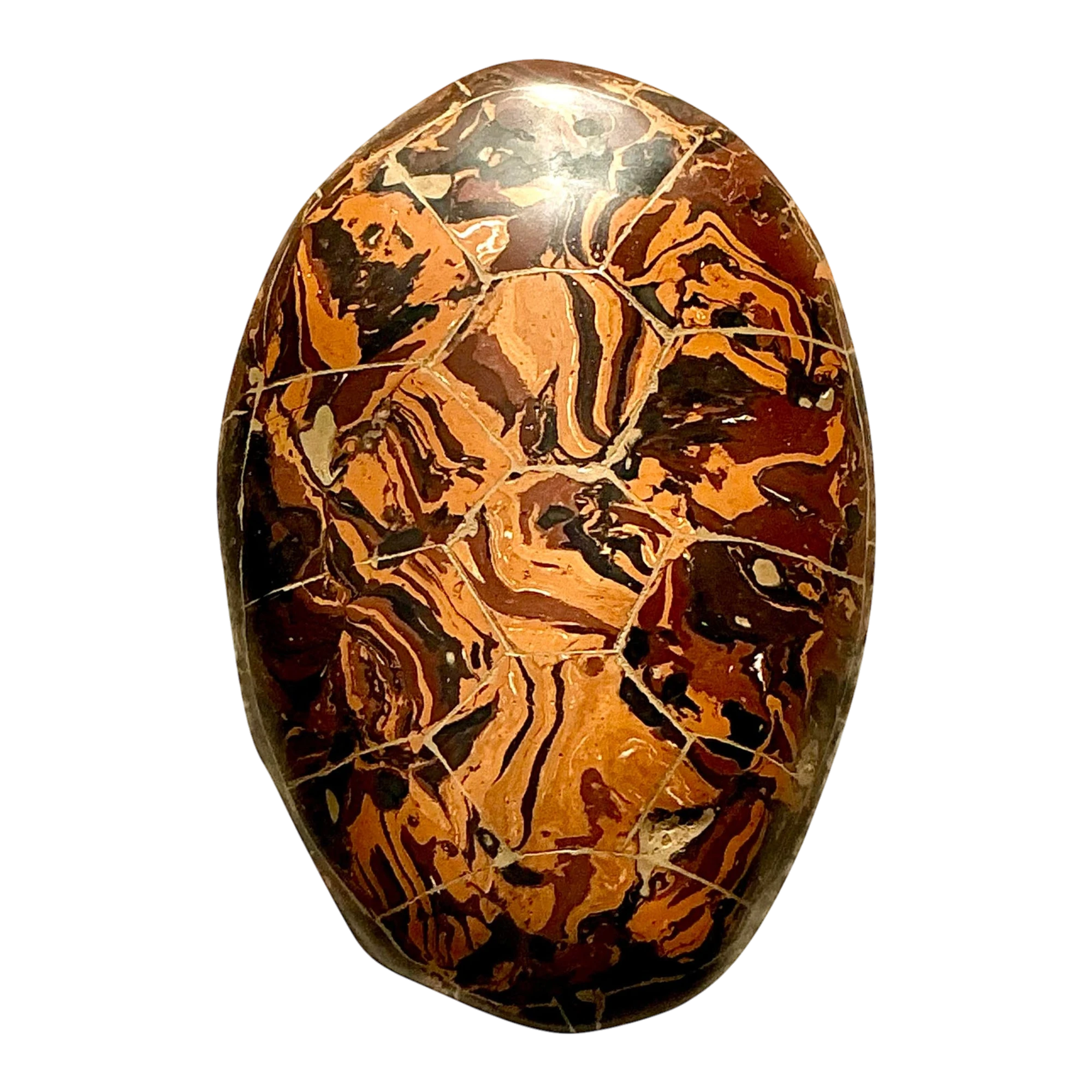 Vintage Boho Artisinal Pigmented Plaster Scagliola Turtle Shell