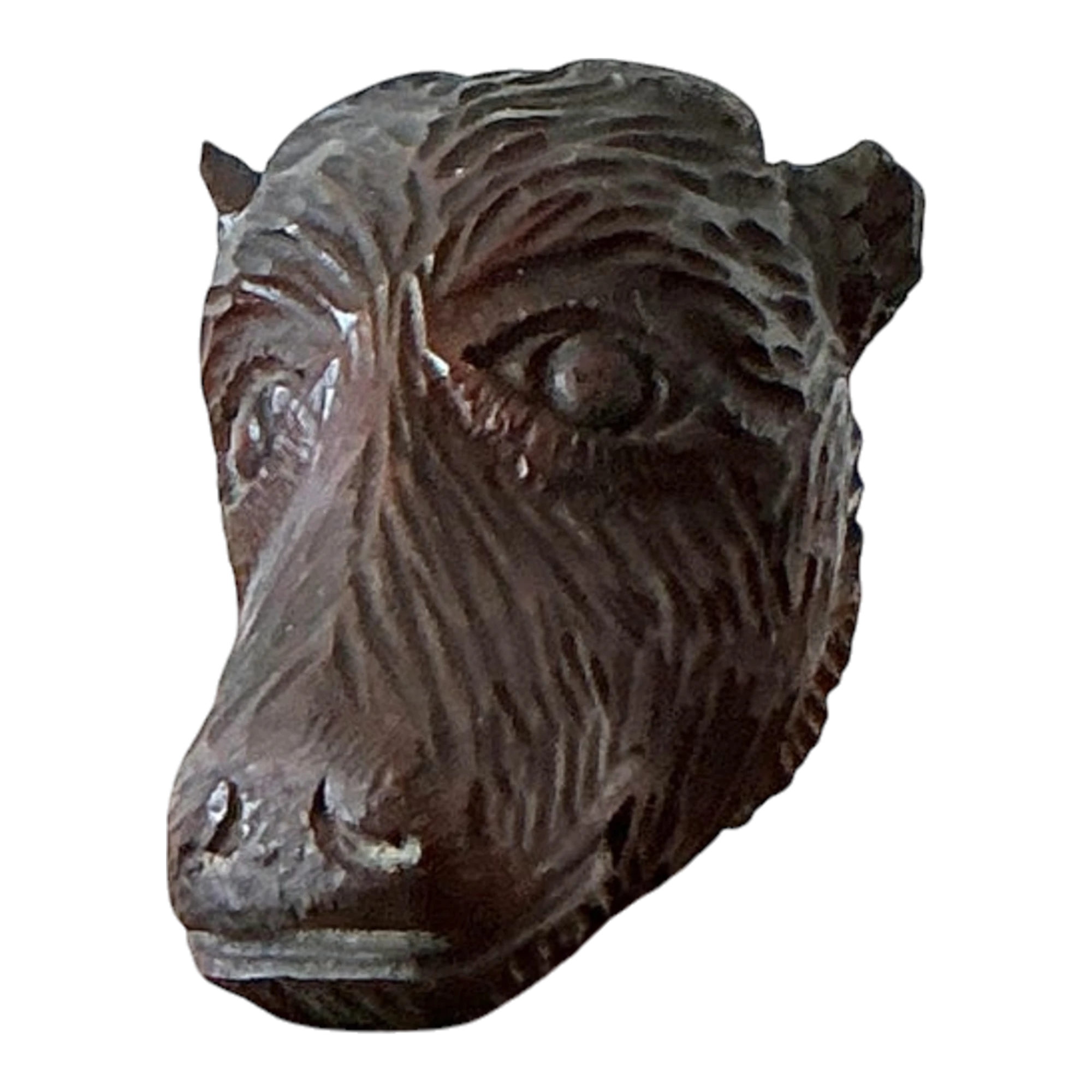 Vintage Boho Black Forest Carved Boar Head