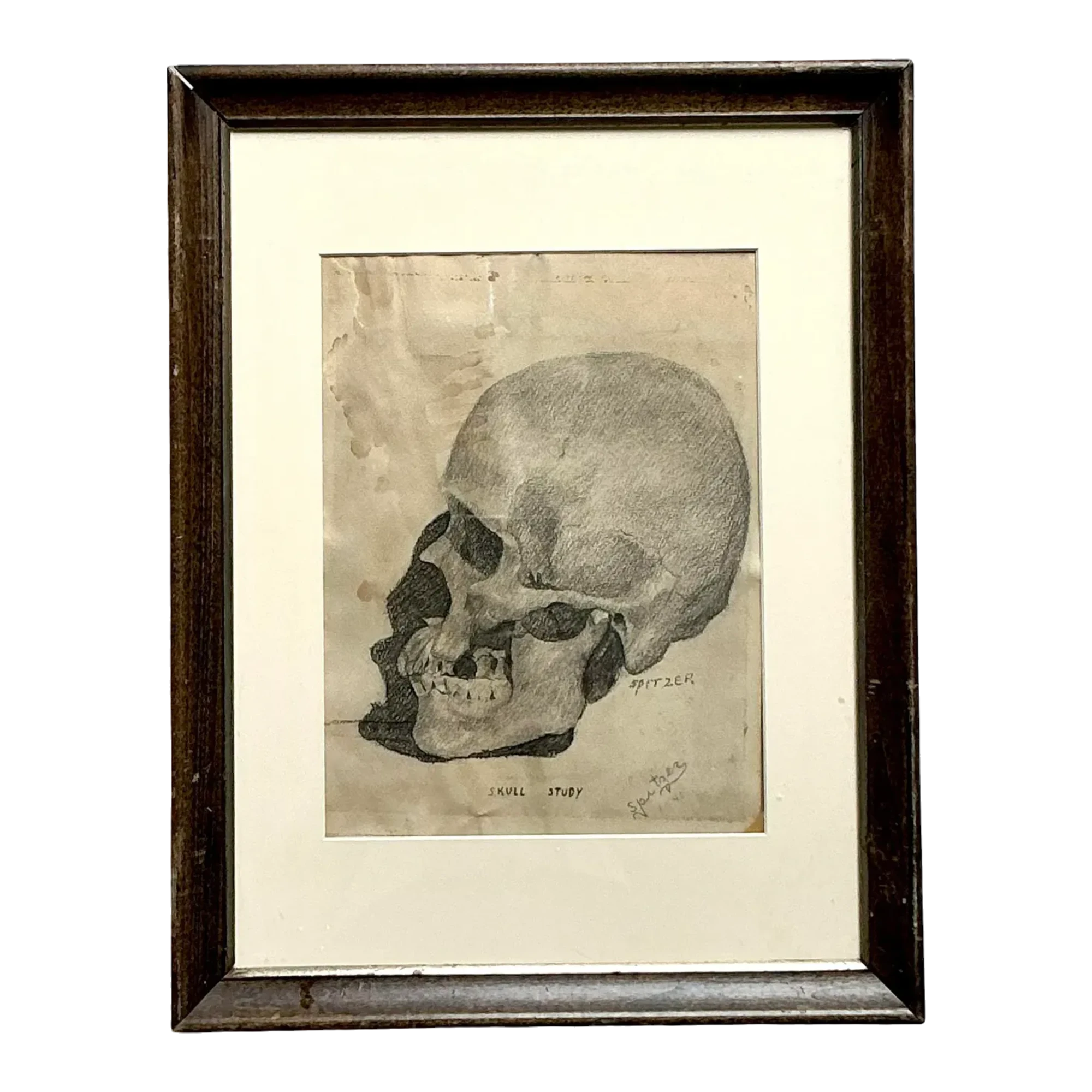 Vintage Boho Original Pencil Sketch of Skull