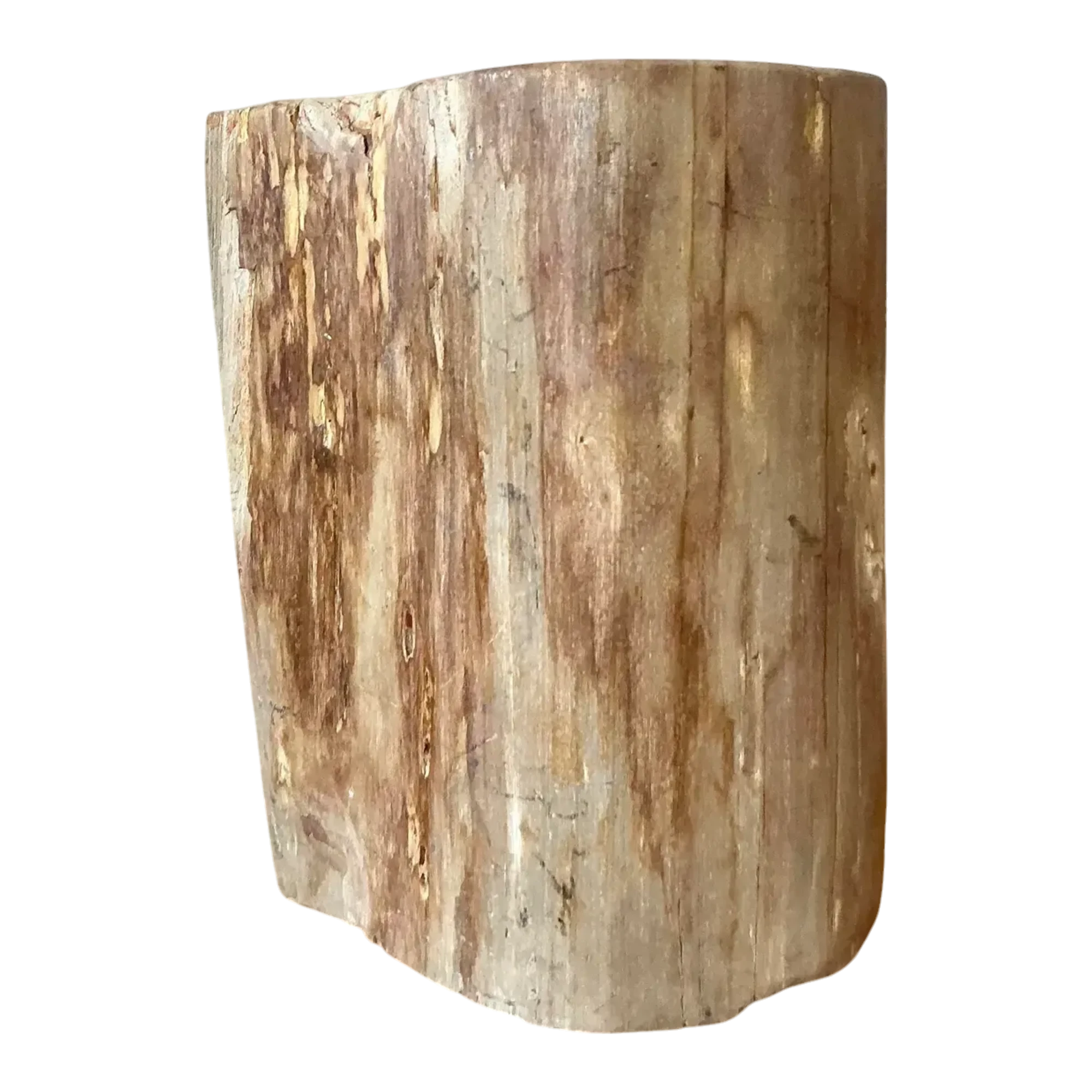 Vintage Boho Petrified Wood