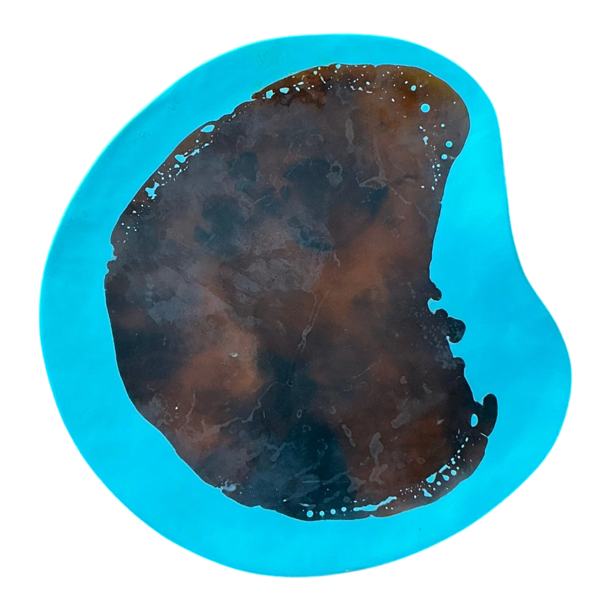 Vintage Boho Poured Resin Plate With Abstract Paint Detail