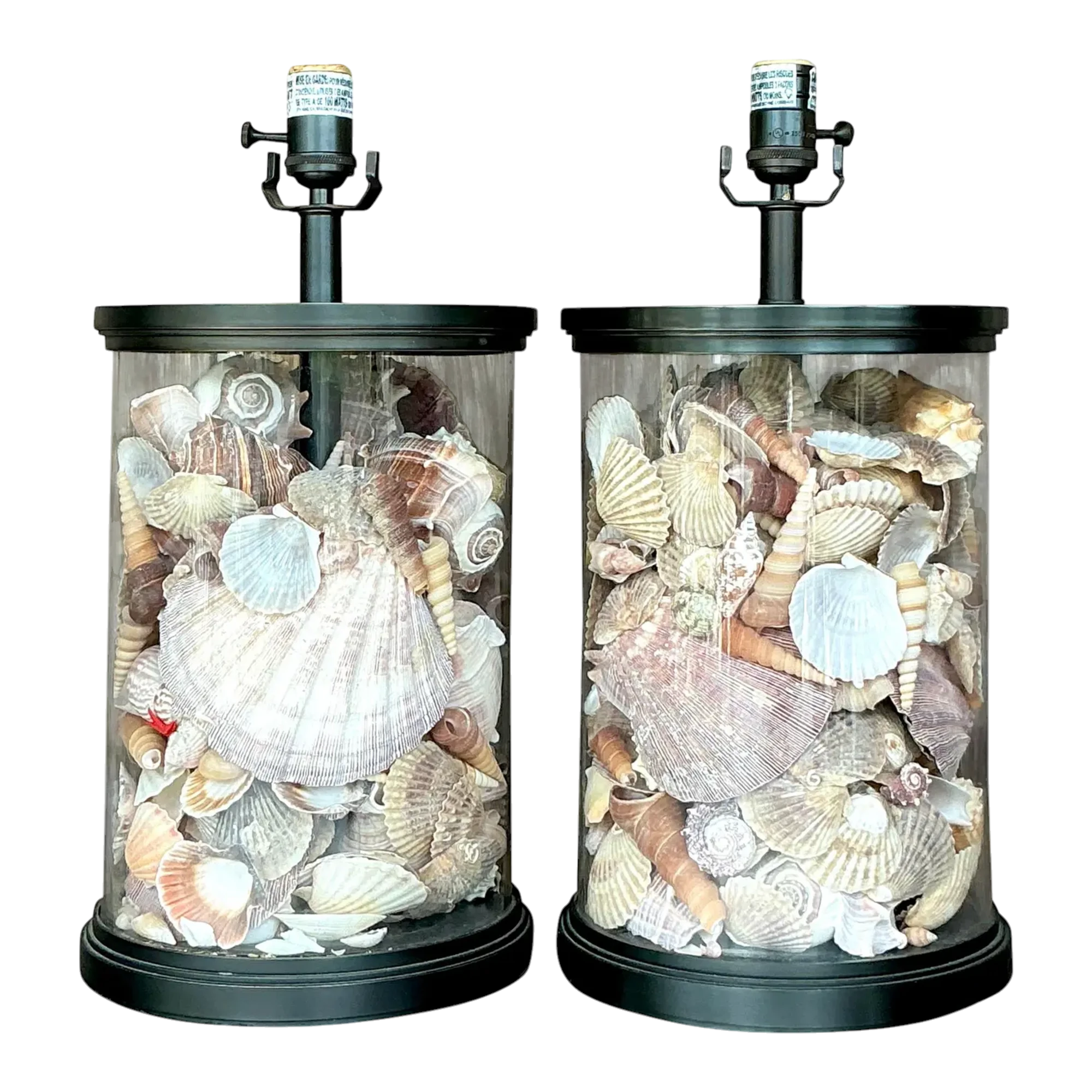 Vintage Coastal Bronze Shell Collector Lamps - a Pair