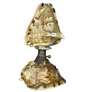 Vintage Coastal Conch Shell Lamp