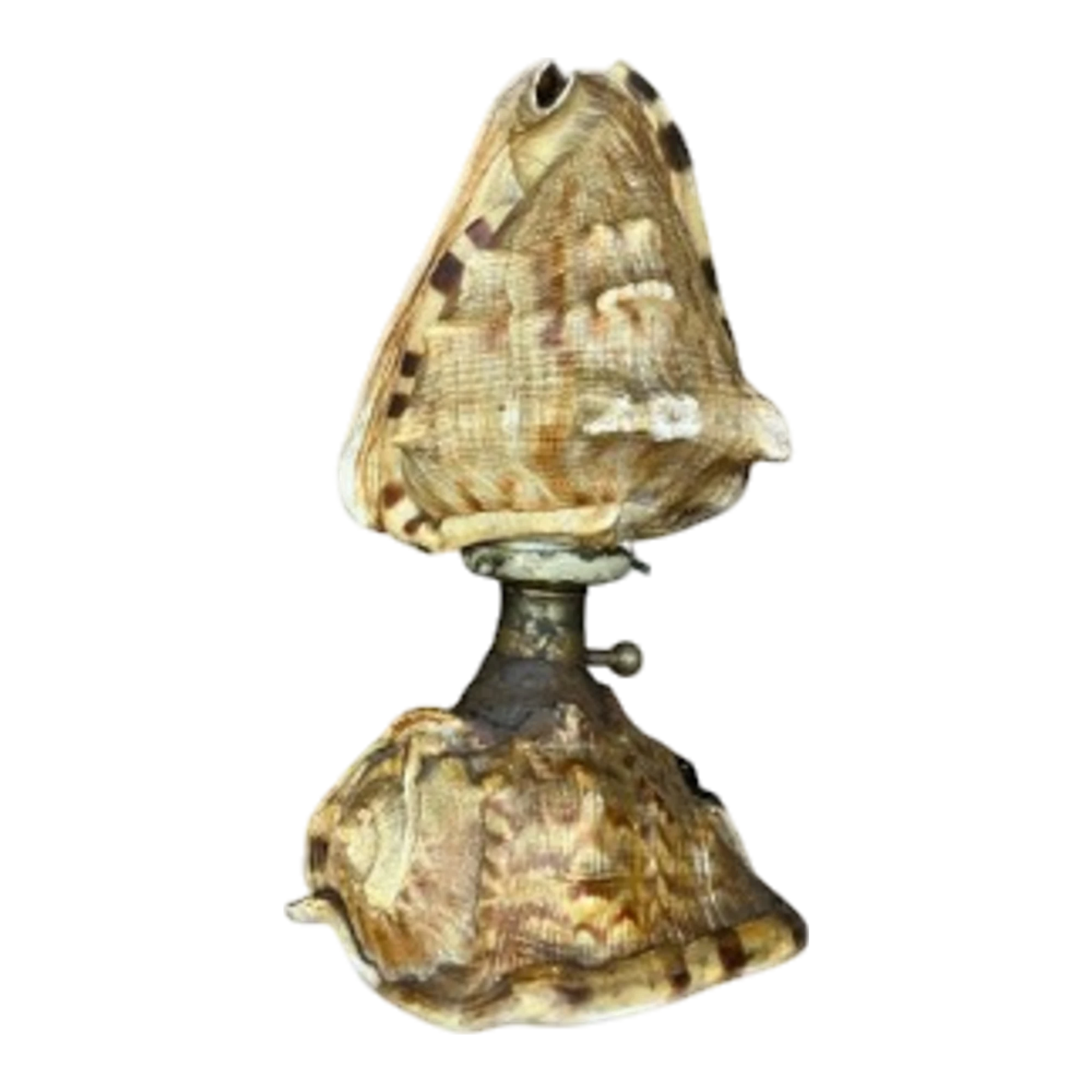Vintage Coastal Conch Shell Lamp — additional photo 1