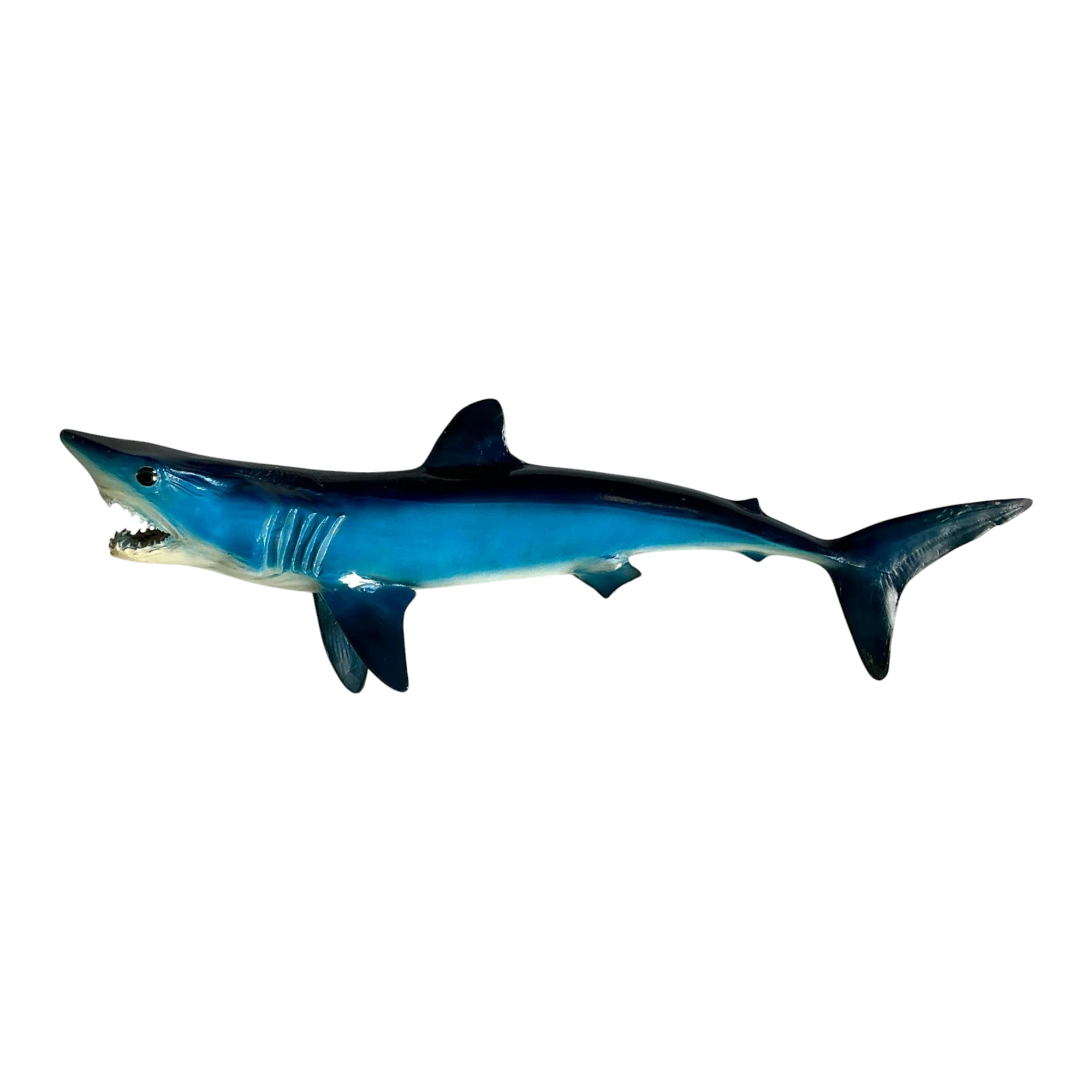 Vintage Coastal Shark Mount