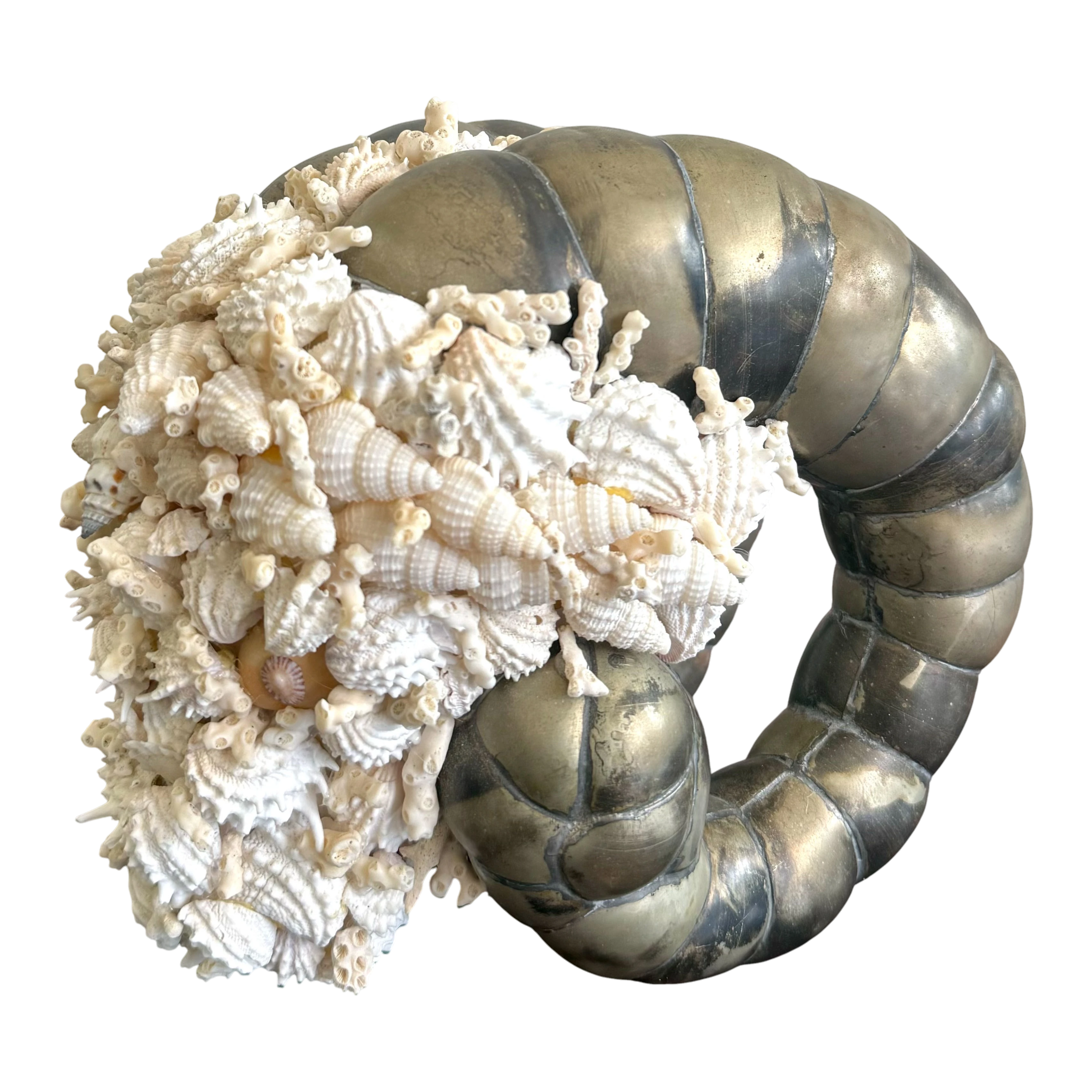 Vintage Coastal Shell Encrusted Ram Head Sculpture