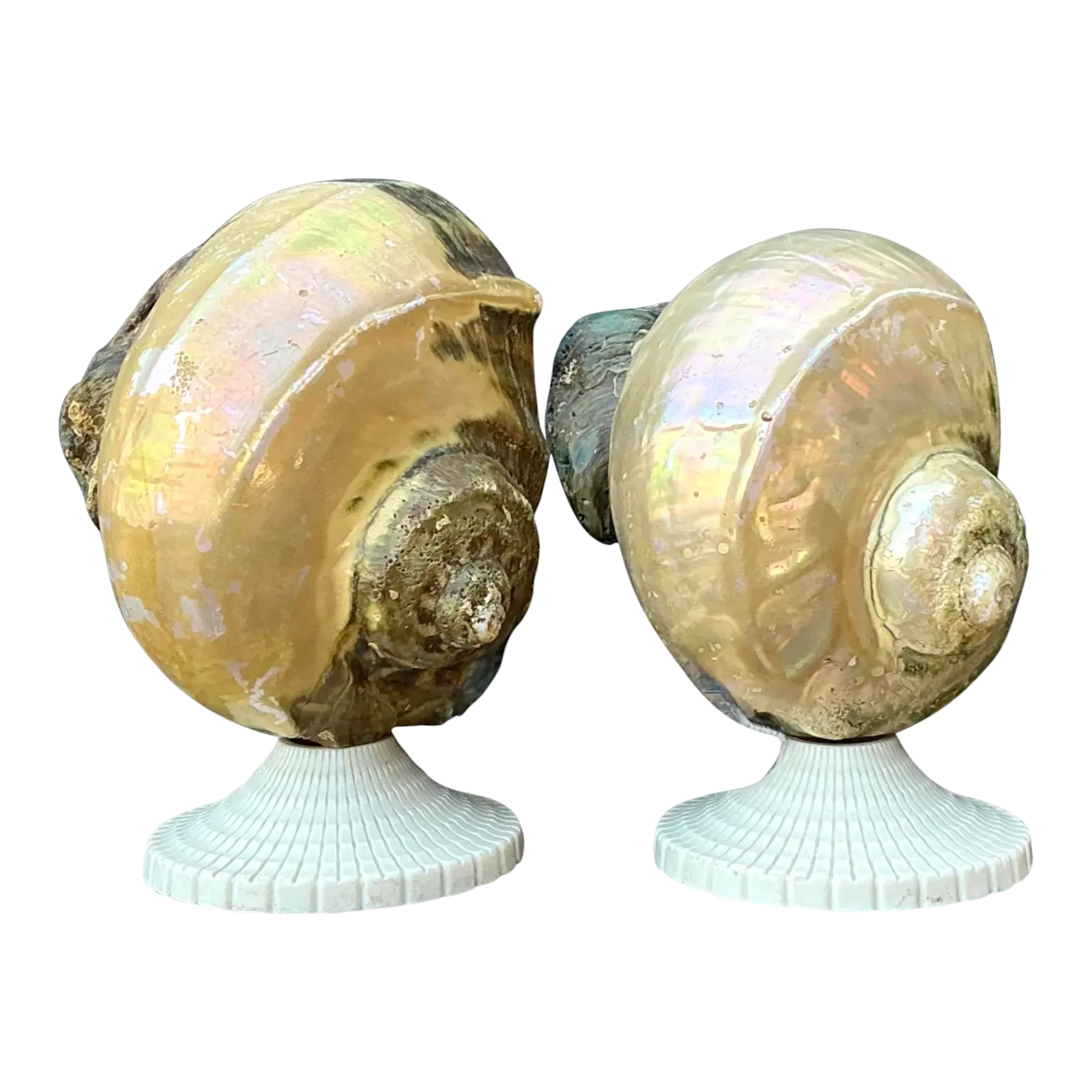 Vintage Deco Nautilus Shell Lamps - A Pair