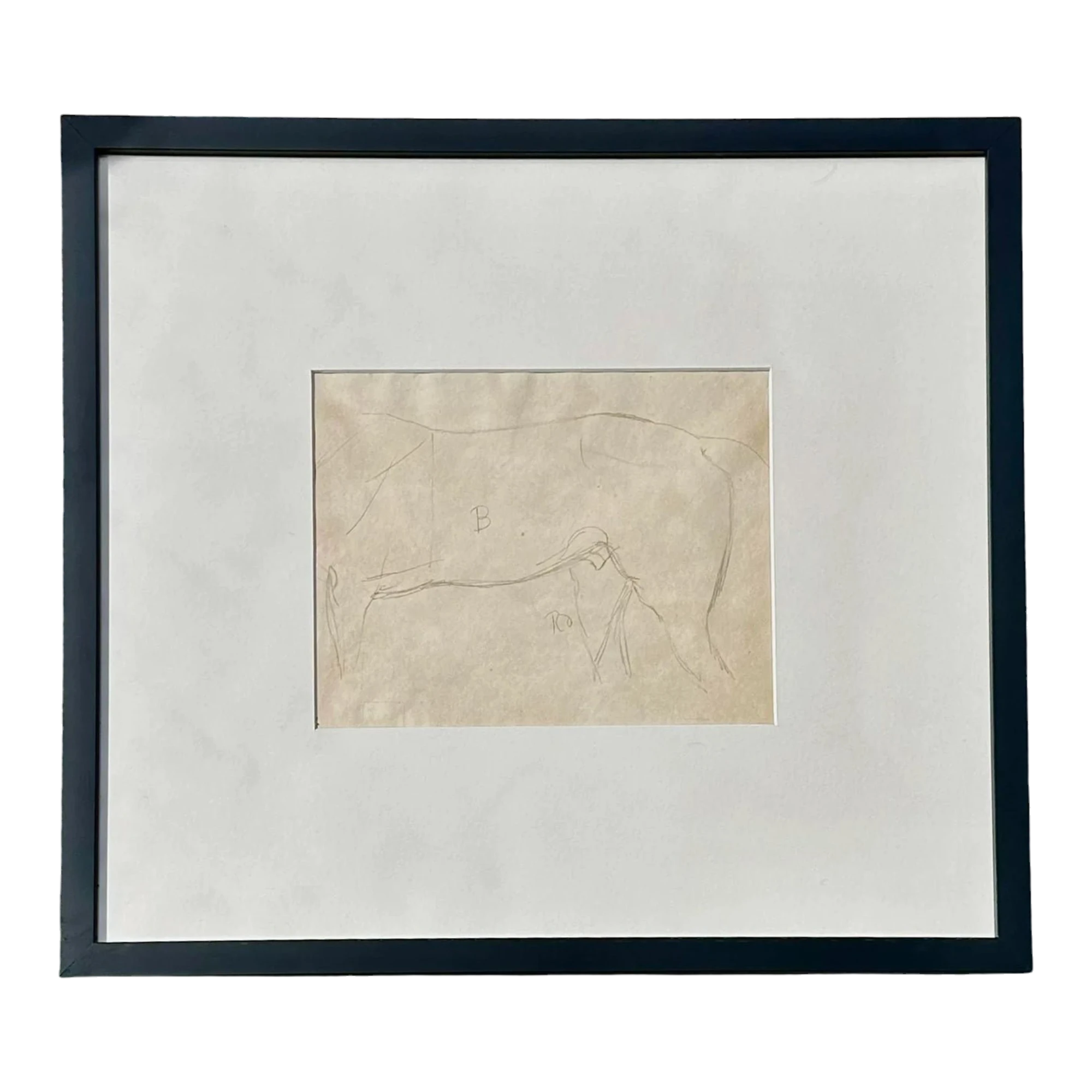 Vintage Framed Horse Body Sketch Drawing