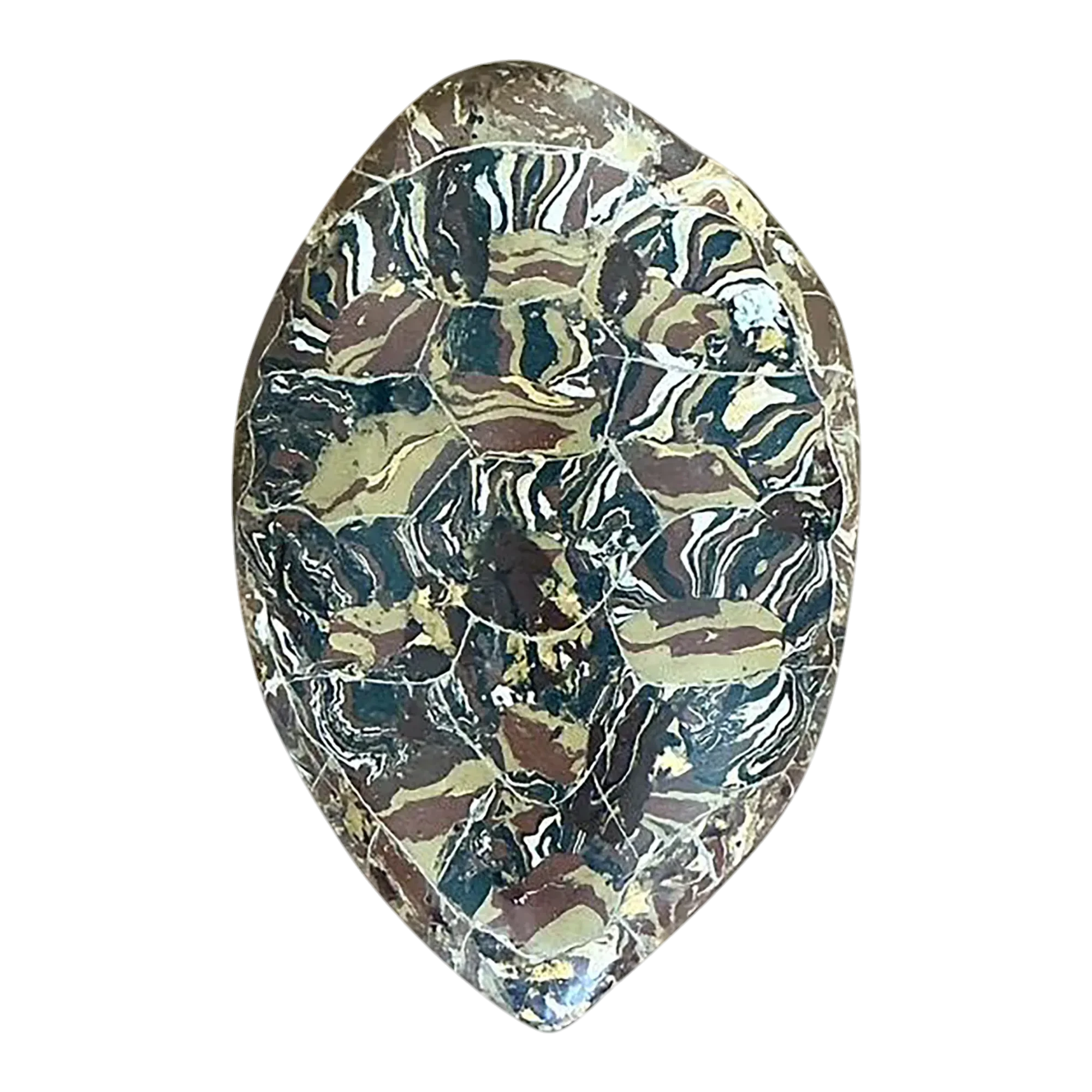 Vintage Italian Scagliola Artisan Made Pigmented Plaster Turtle Shell — additional photo 1