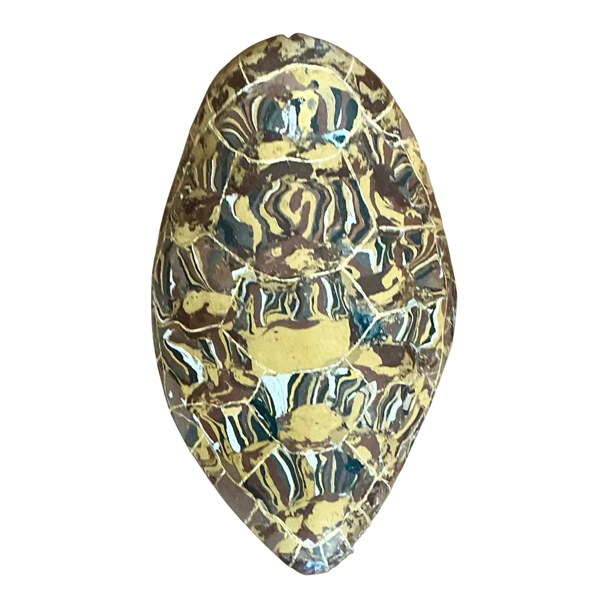 Vintage Italian Scagliola Gilt Tipped Pigmented Plaster Turtle Shell — additional photo 1