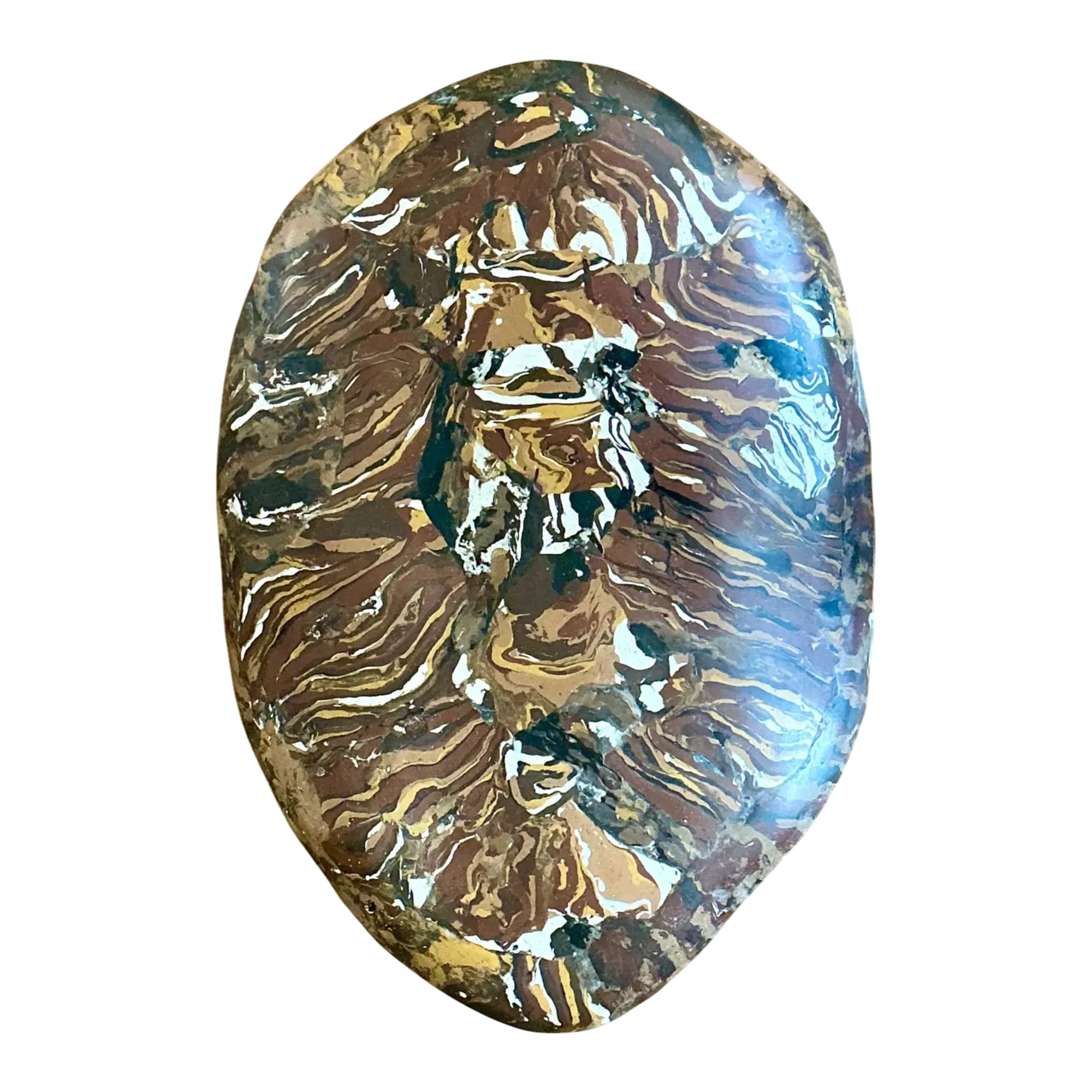 Vintage Italian Scagliola Pigmented Plaster Turtle Shell - Plaster, 17.75W x 24.25H