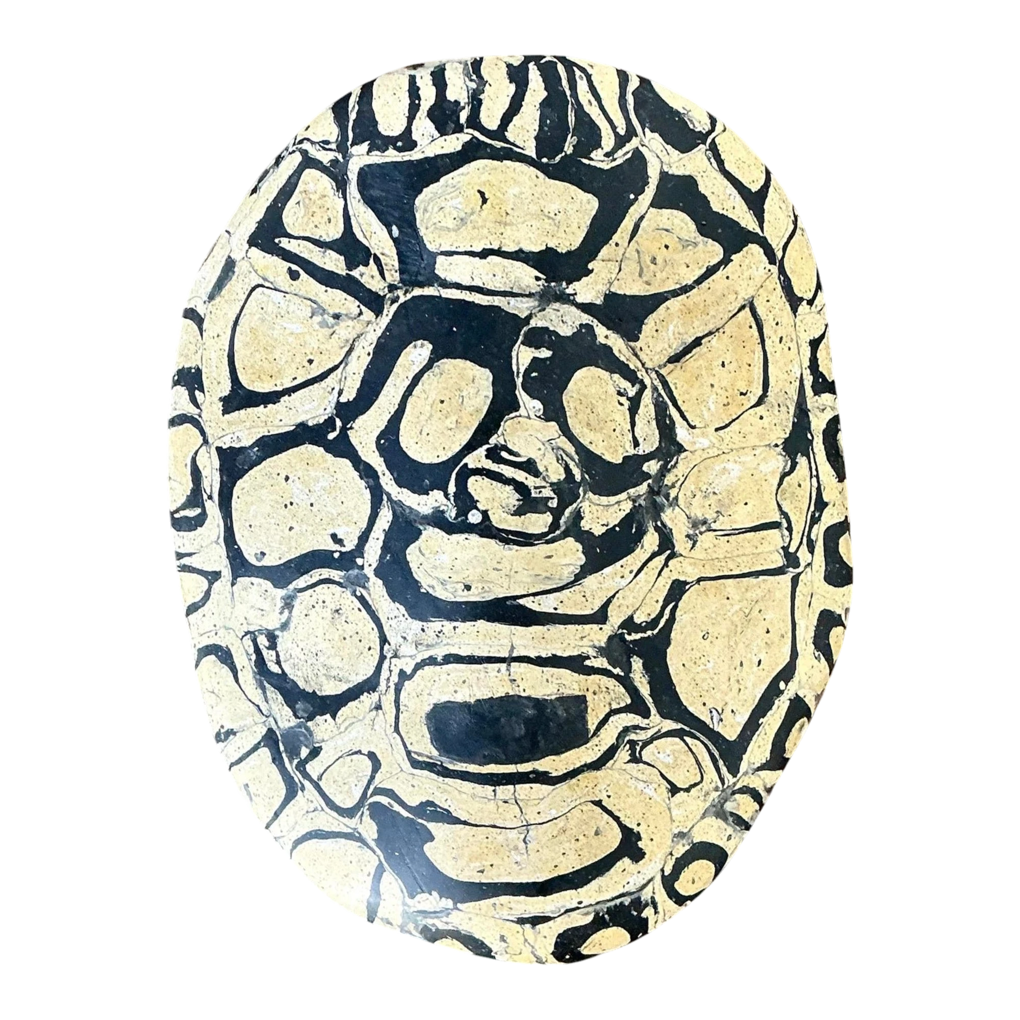 Vintage Italian Scagliola Pigmented Plaster Turtle Shell - Synthetic, 6W x 7.75H