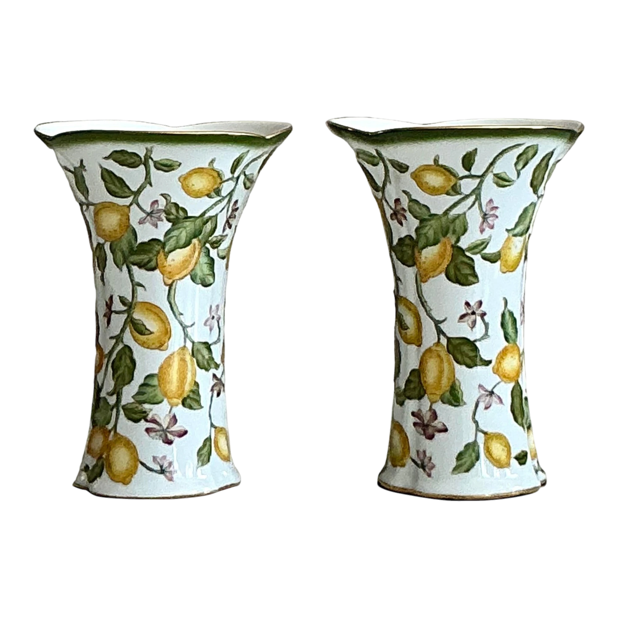 Vintage Regency Lemon Branch Cache Pots - A Pair