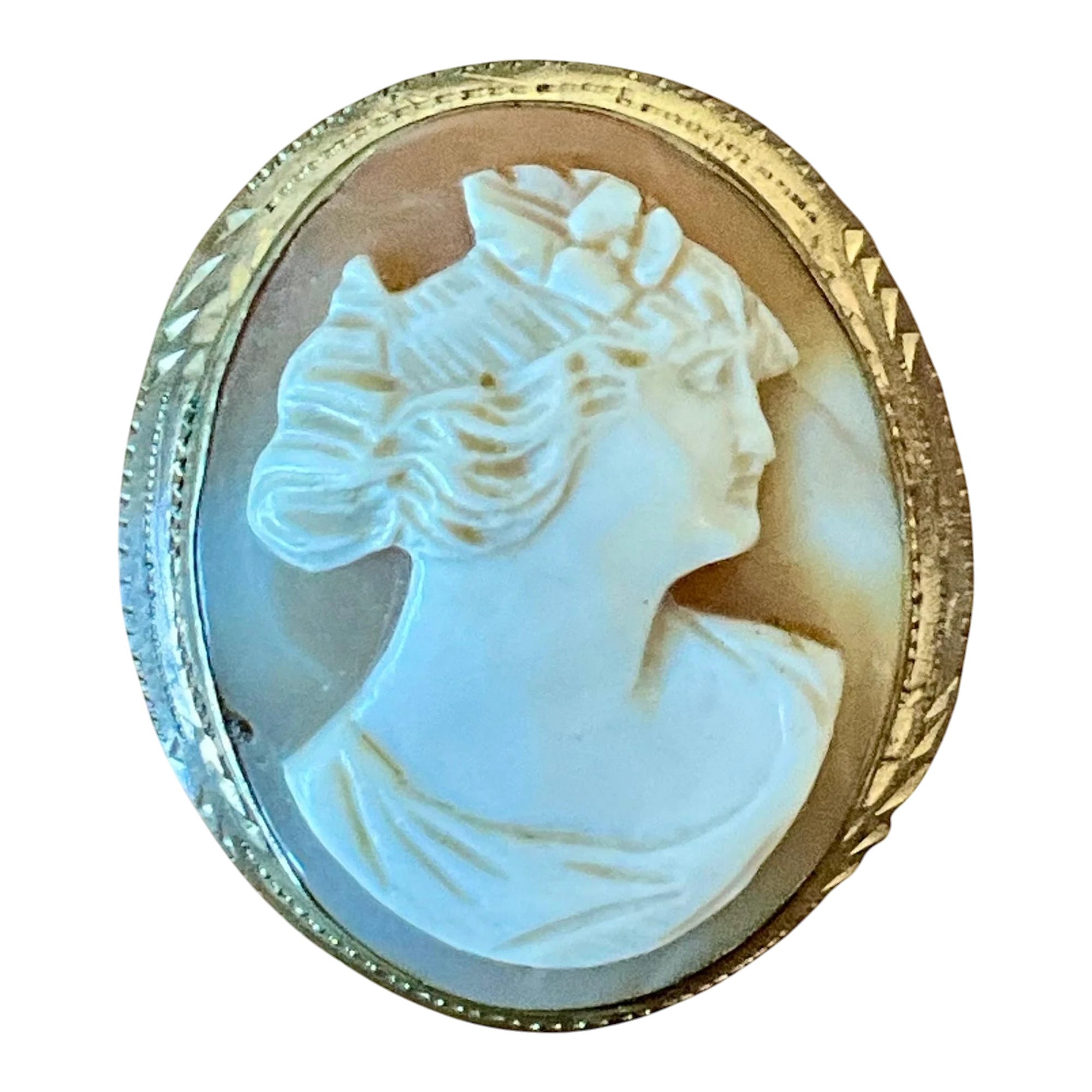 Vintage Victorian Carved Shell Cameo Brooch