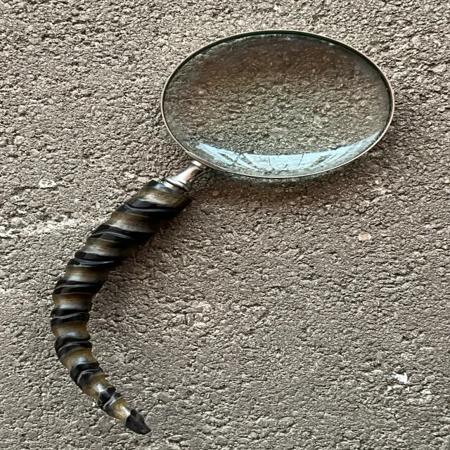 Vintage Carved Wood Horn Magnifying Glass — additional photo 6