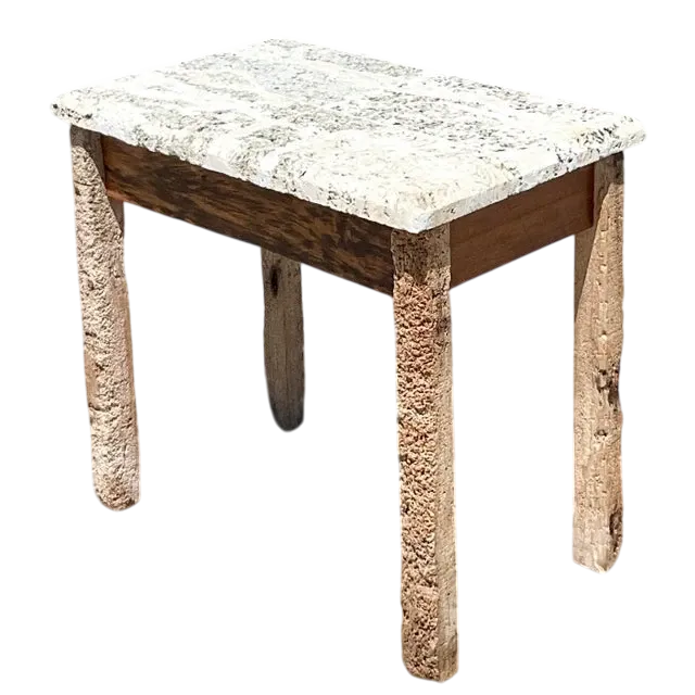 Vintage Coastal Florida Keys Petrified Wood Table with Coquina Stone Slab Top