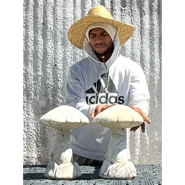 Vintage Boho Cast Stone Mushrooms - A Pair — additional photo 4