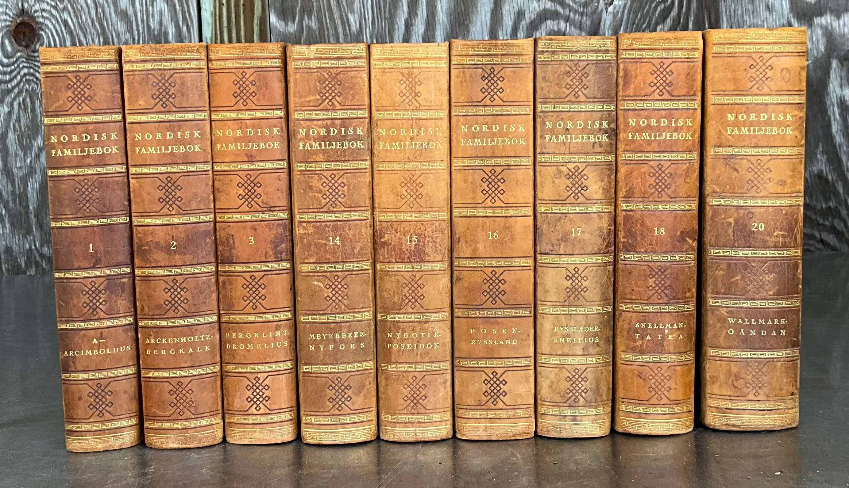 Nordisk Familjebok Swedish Encyclopedia Various Volumes — additional photo 3