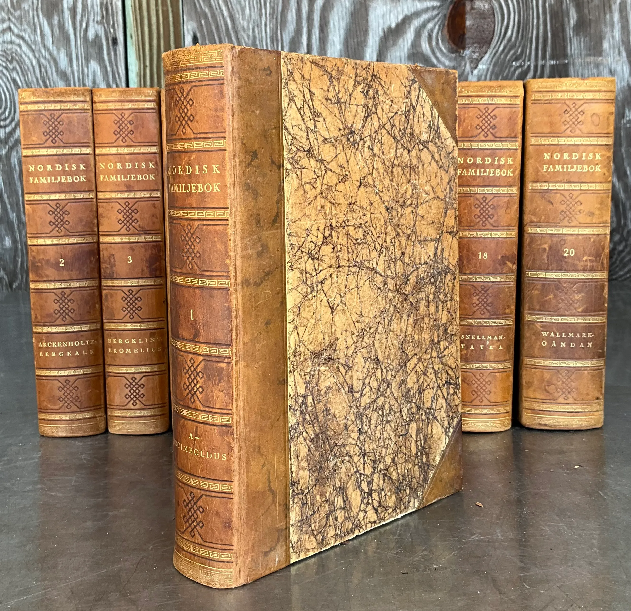 Nordisk Familjebok Swedish Encyclopedia Various Volumes — additional photo 1