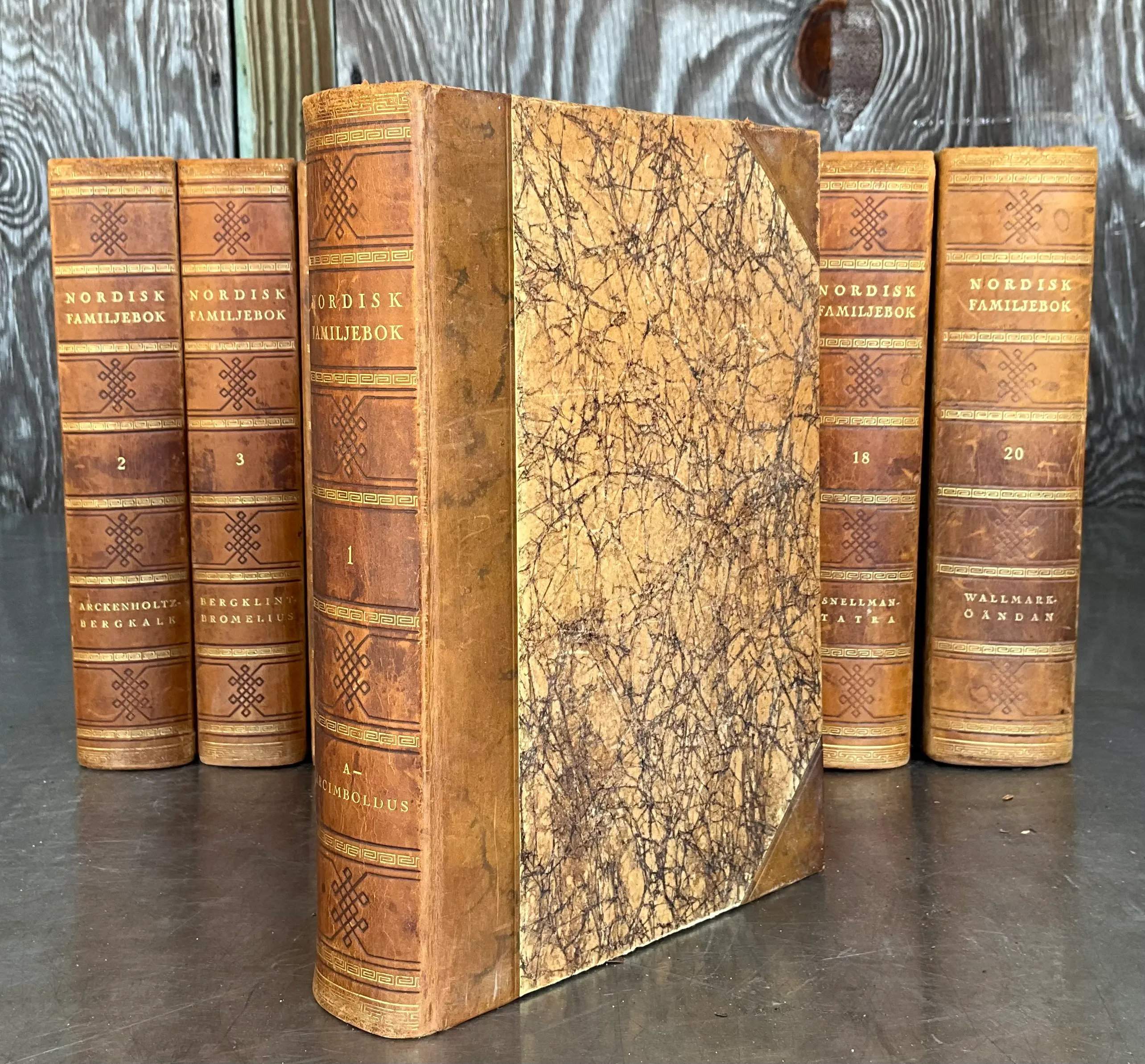 Nordisk Familjebok Swedish Encyclopedia Various Volumes — additional photo 4
