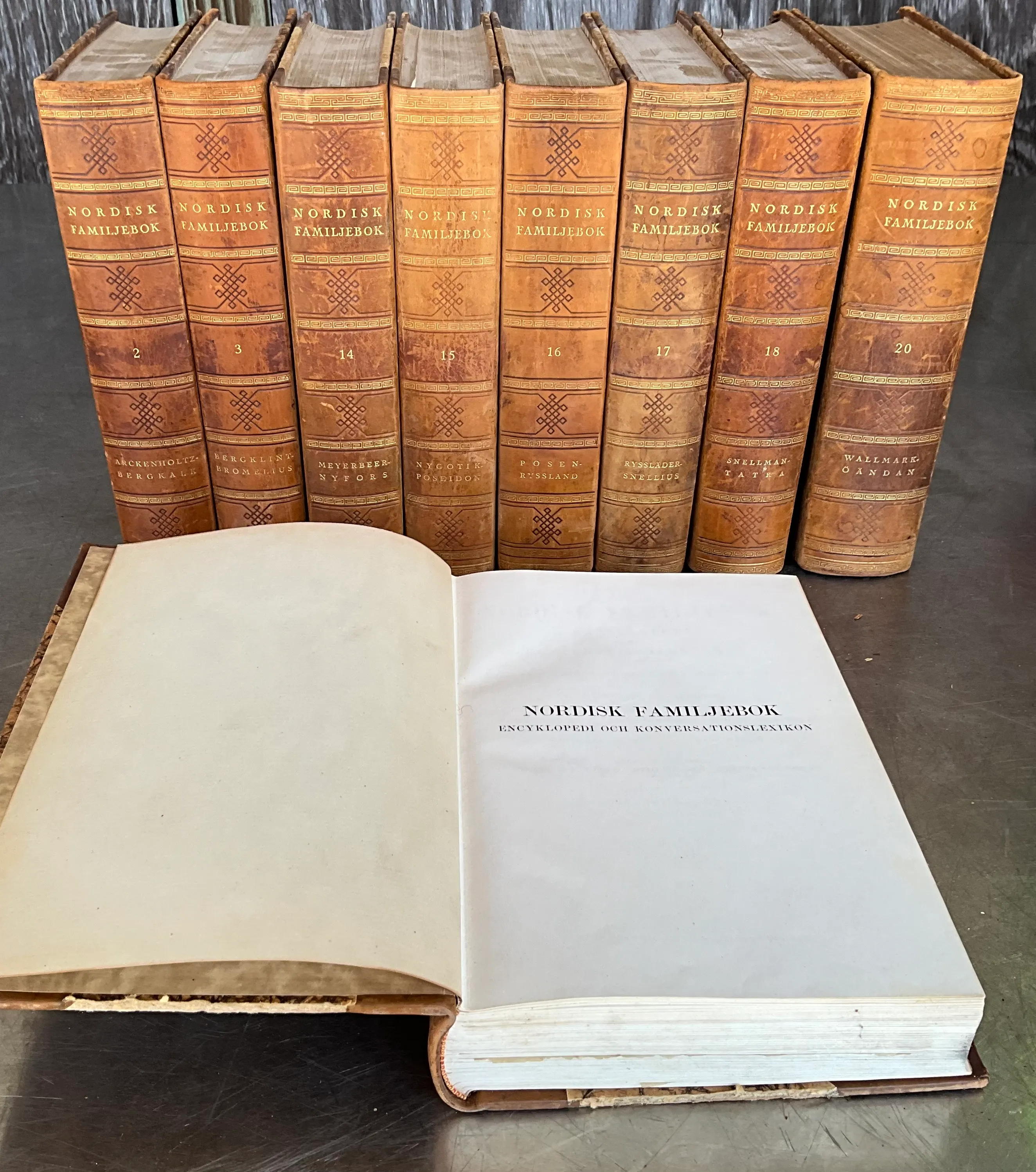 Nordisk Familjebok Swedish Encyclopedia Various Volumes — additional photo 2