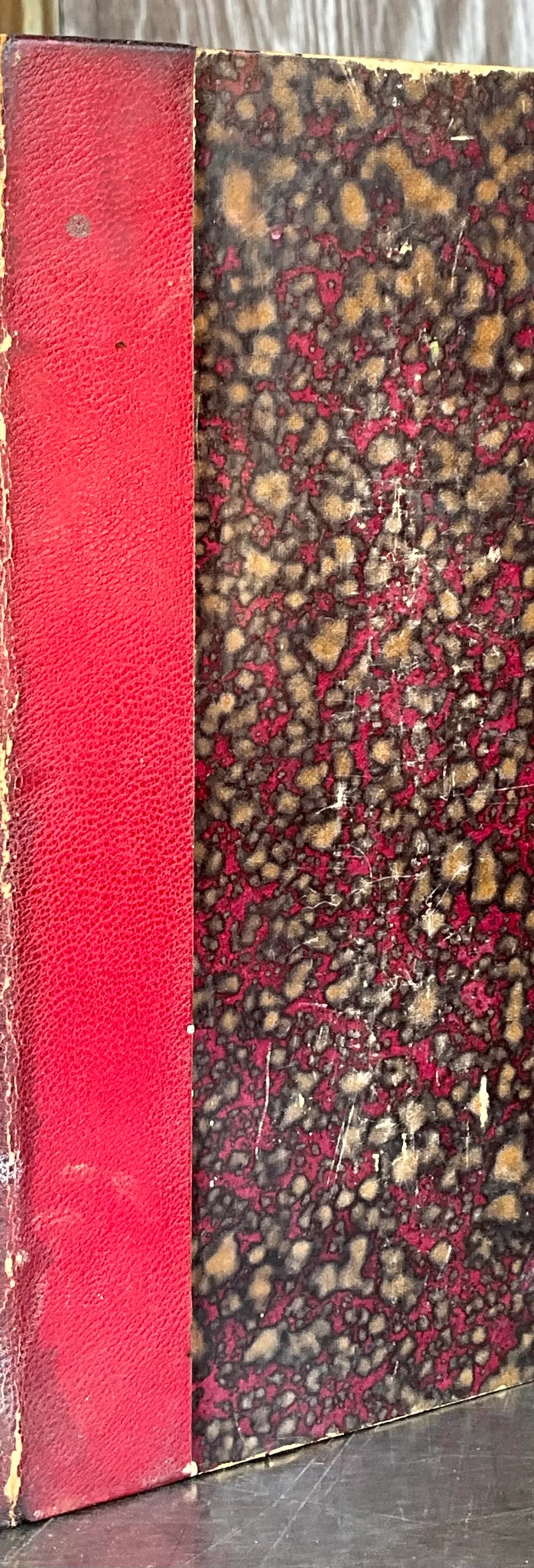 Vintage Jules Michelet – Histoire du XIXe Siècle- 2 Volume Set
