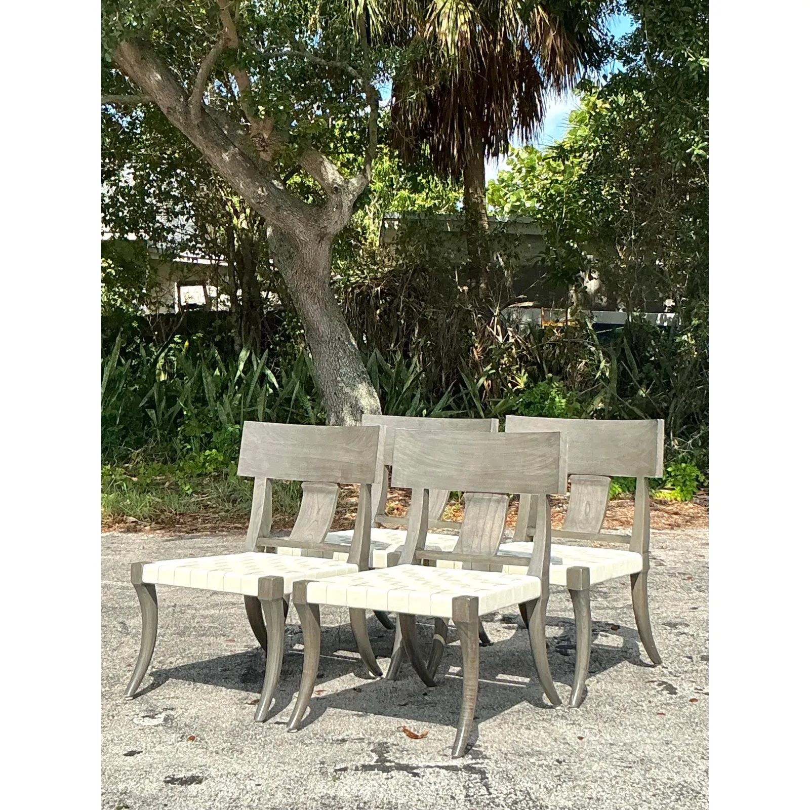Vintage Boho Oly Washed Klismos Dining Chairs - Set of 4 — additional photo 5