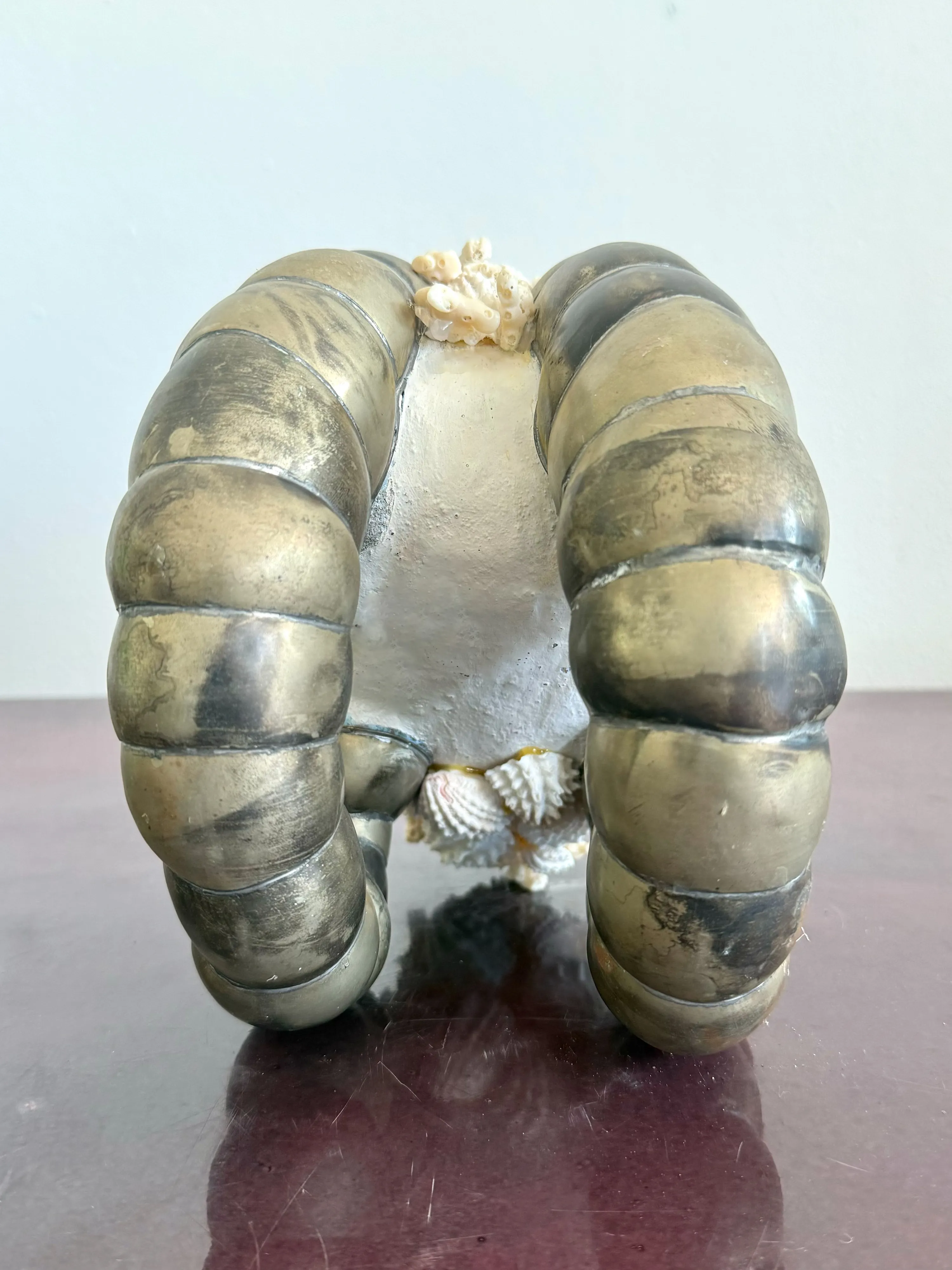 Vintage Coastal Shell Encrusted Ram Head Sculpture — additional photo 4