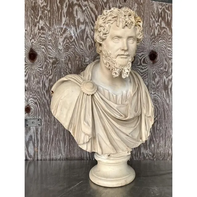 Vintage Grand Tour Resin Bust of Septimus Severus — additional photo 5