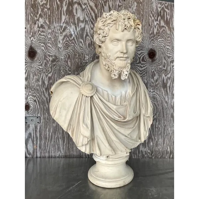 Vintage Grand Tour Resin Bust of Septimus Severus — additional photo 4