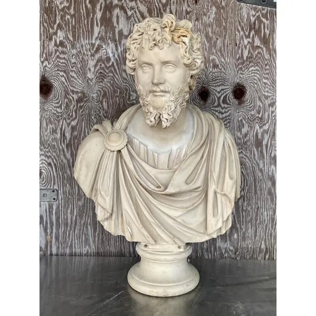 Vintage Grand Tour Resin Bust of Septimus Severus — additional photo 8