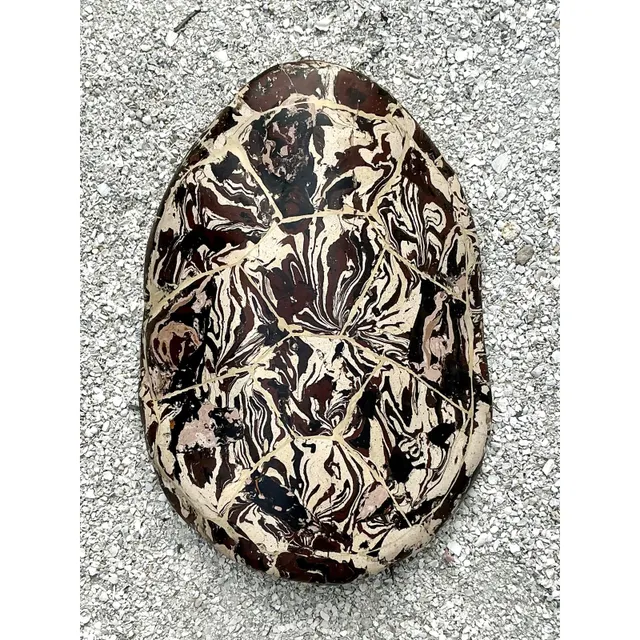 Vintage Boho Artisanal Pigmented Plaster Scagliola Turtle Shell — additional photo 2