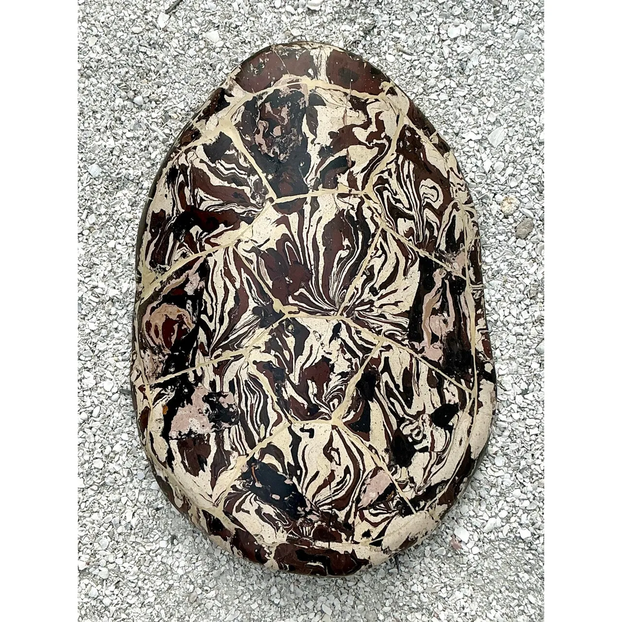 Vintage Boho Artisanal Pigmented Plaster Scagliola Turtle Shell